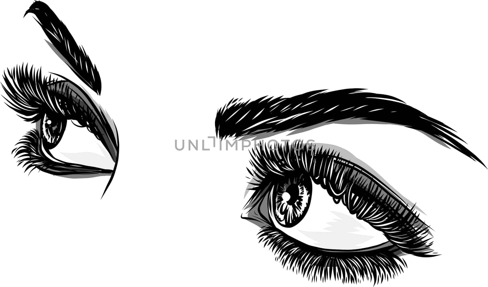 Beautiful Women Eyes with make up