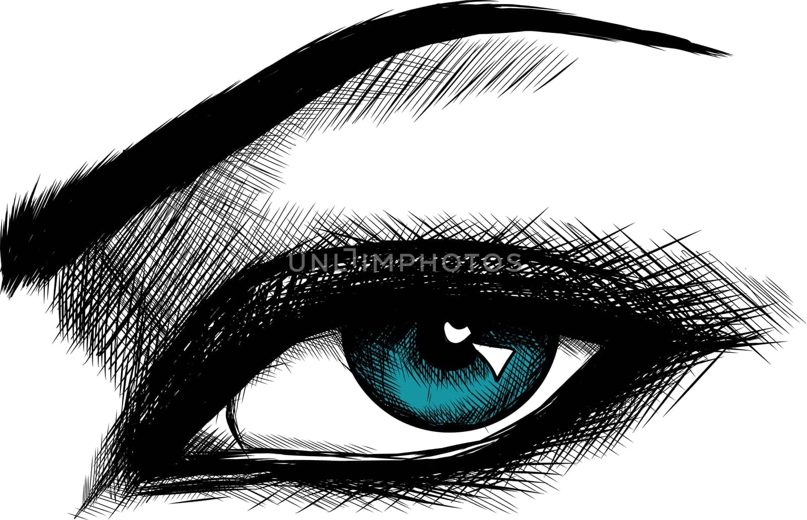 Beautiful Women Eyes with make up