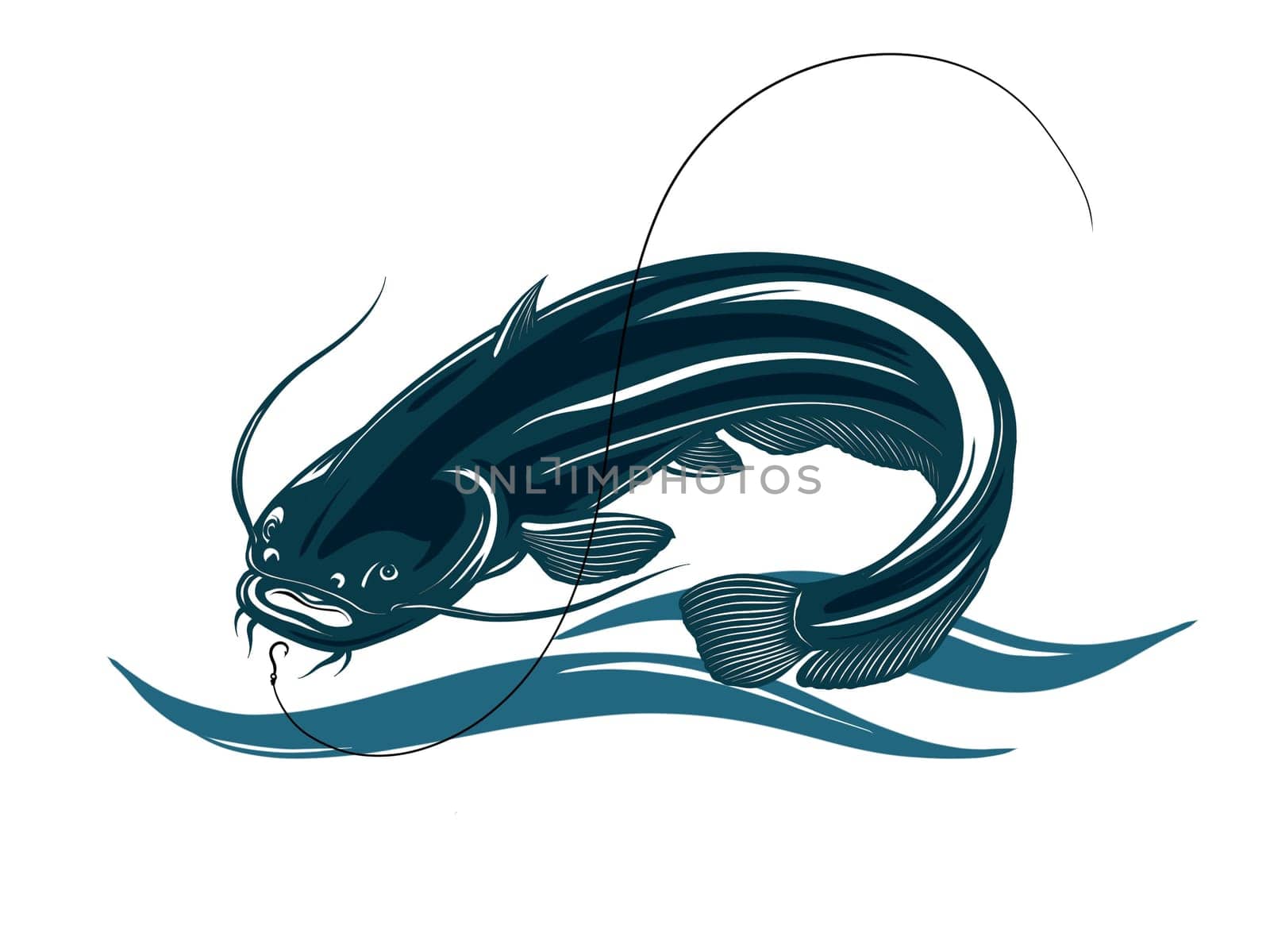 illustration fishing catfish on white background