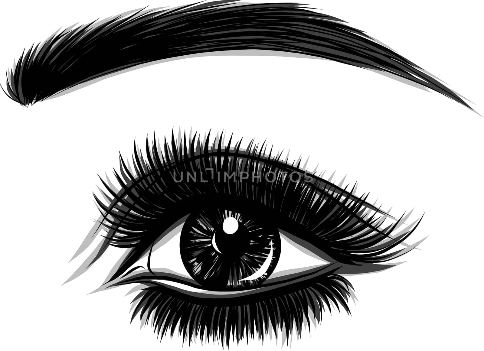 Eye on white background. Woman eye. The eye logo. Eyes art. Human face, eye close up - vector