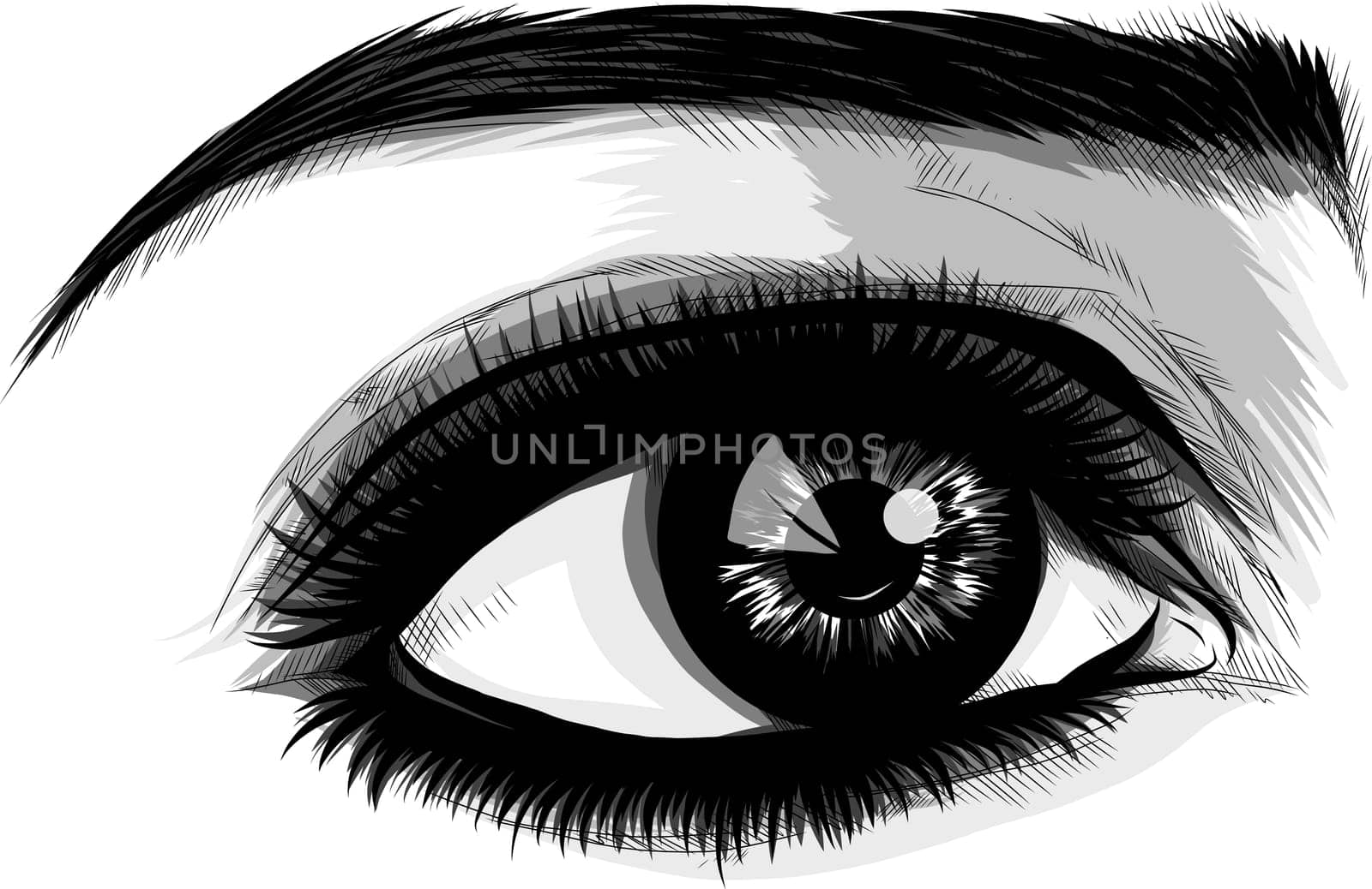Eye on white background. Woman eye. The eye logo. Eyes art. Human face, eye close up - vector
