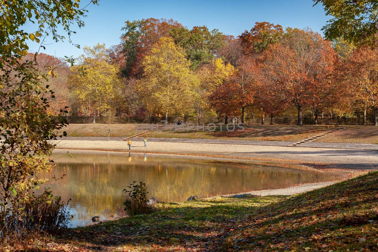 lake and forest in autumn