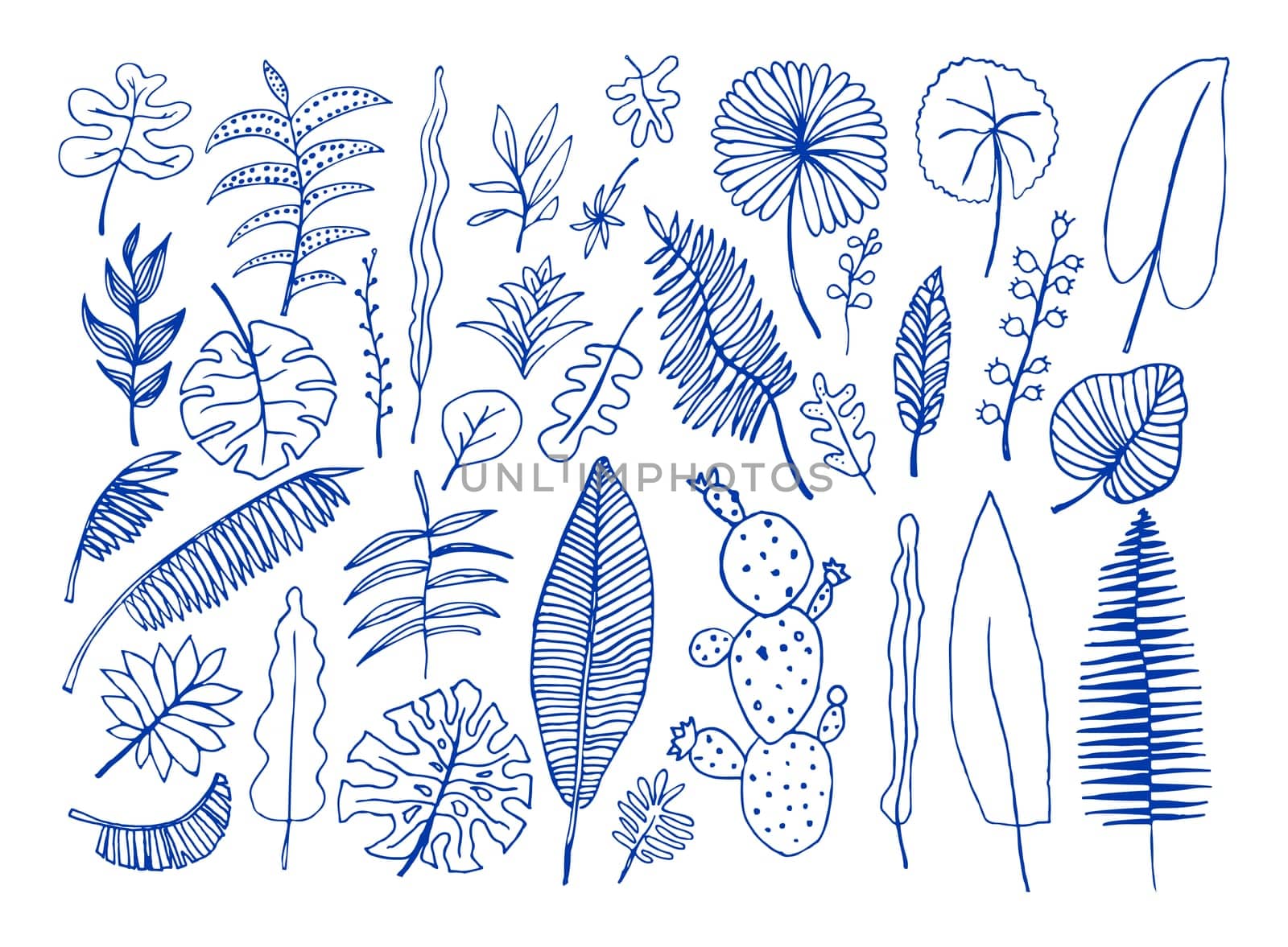 Vector set of bright tropical plants. Colorful hand-drawn Leaves, Inflorescences, Flowers. Blue  color