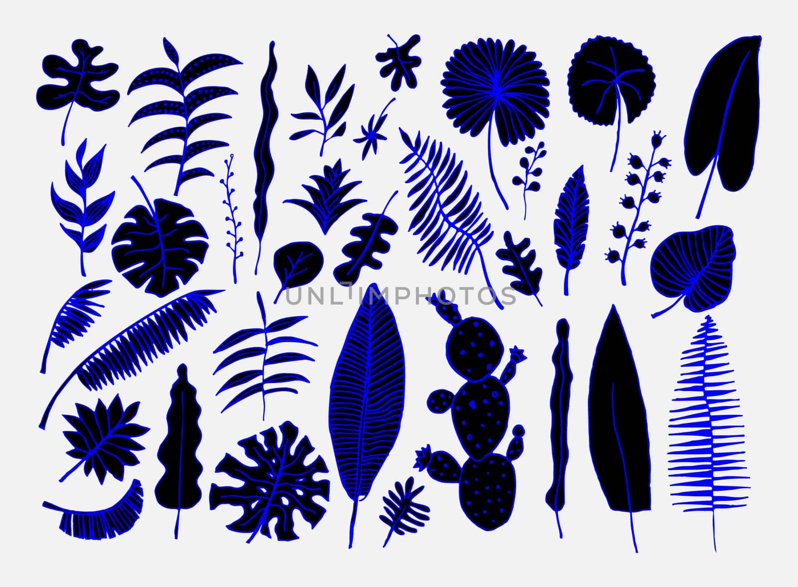 Vector set of bright tropical plants. Colorful hand-drawn Leaves, Inflorescences, Flowers. Blue Black colors