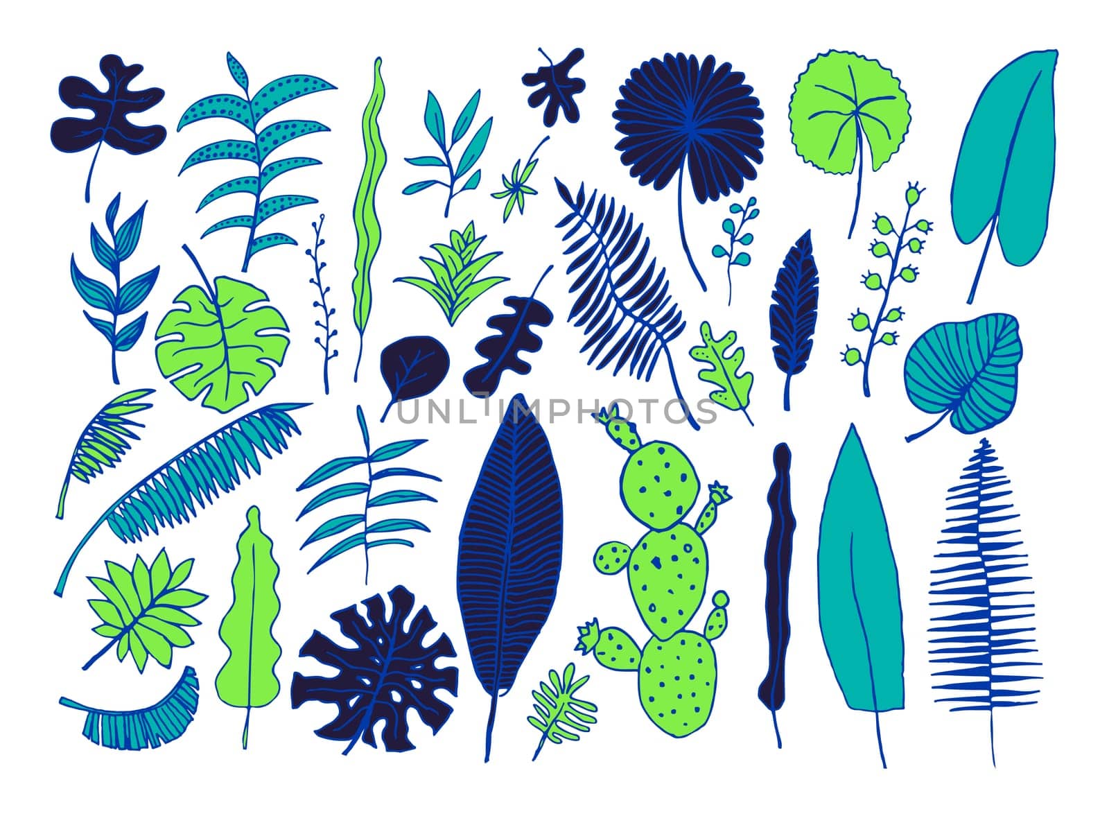 Vector set of bright tropical plants. Hand-drawn Leaves, Inflorescences, Flowers. Blue Black Green colors