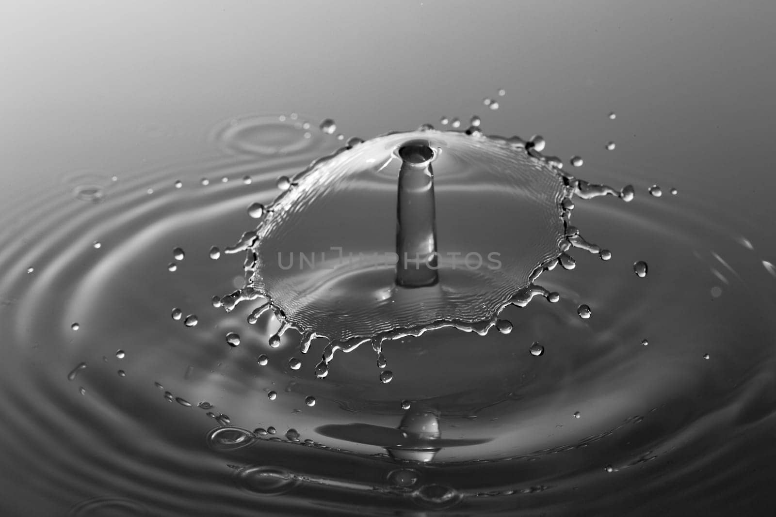 Water Droplet Splash Close Up Black and White.