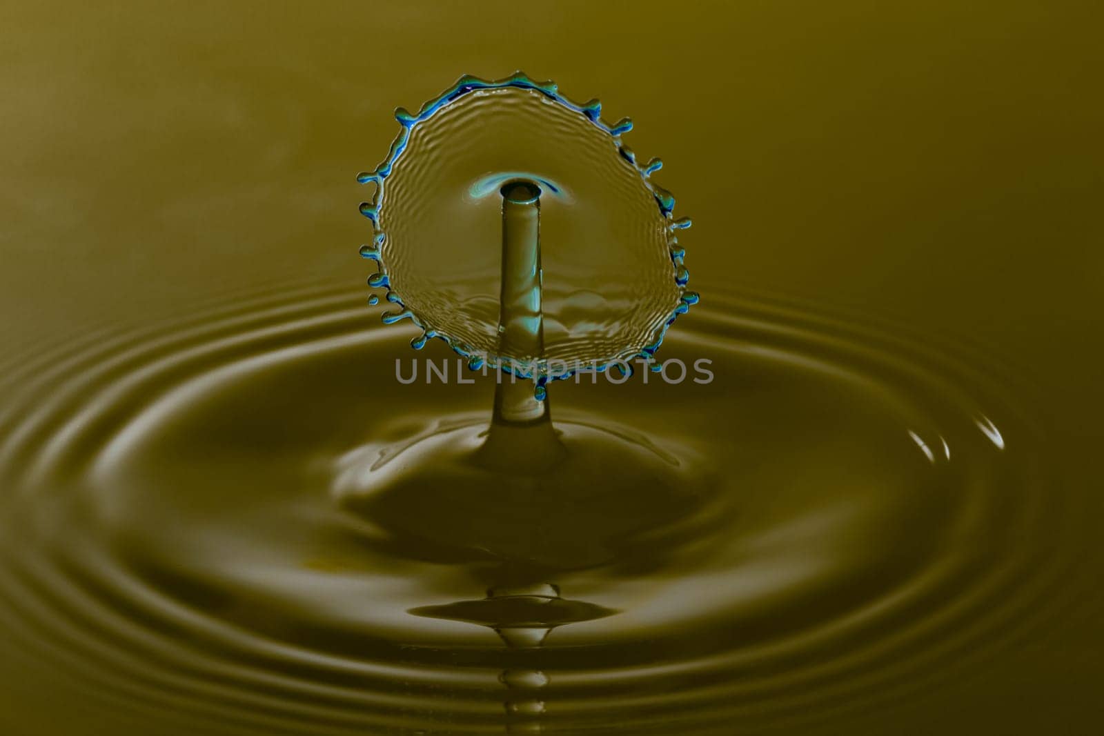Water Droplet Splash Close Up.