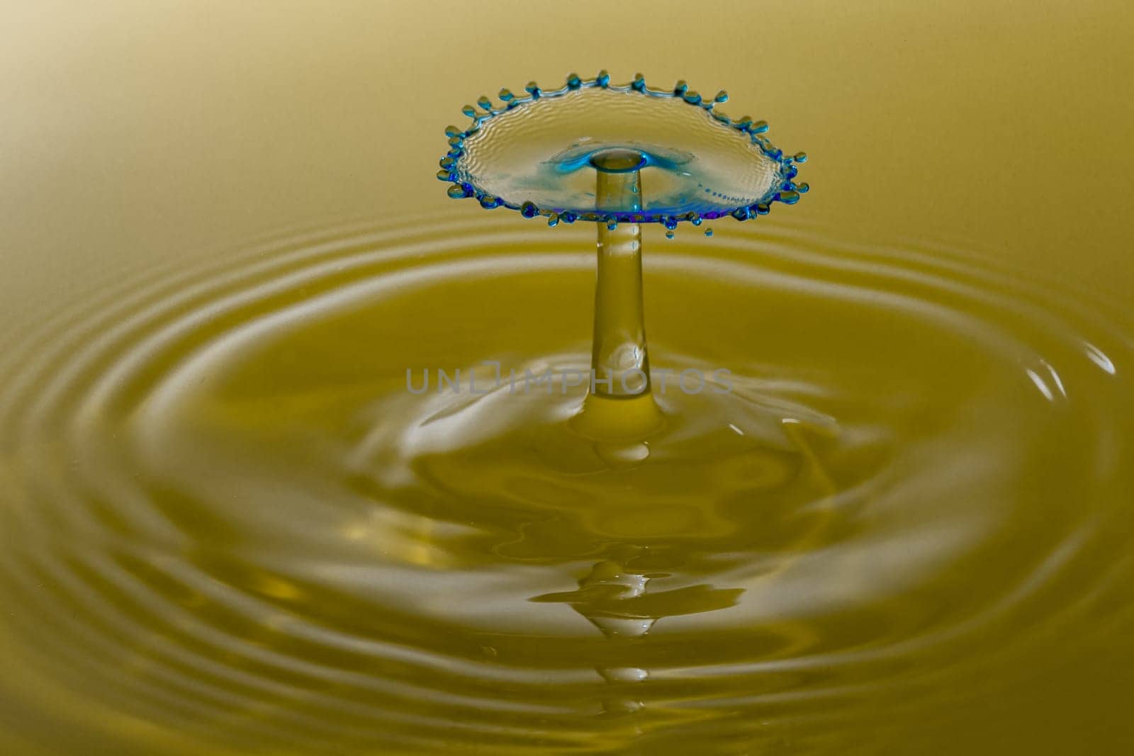 Water Droplet Splash Close Up.