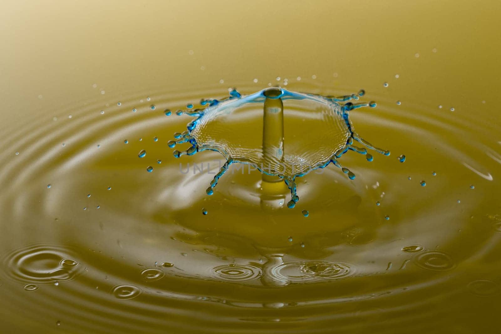 Water Droplet Splash Close Up.