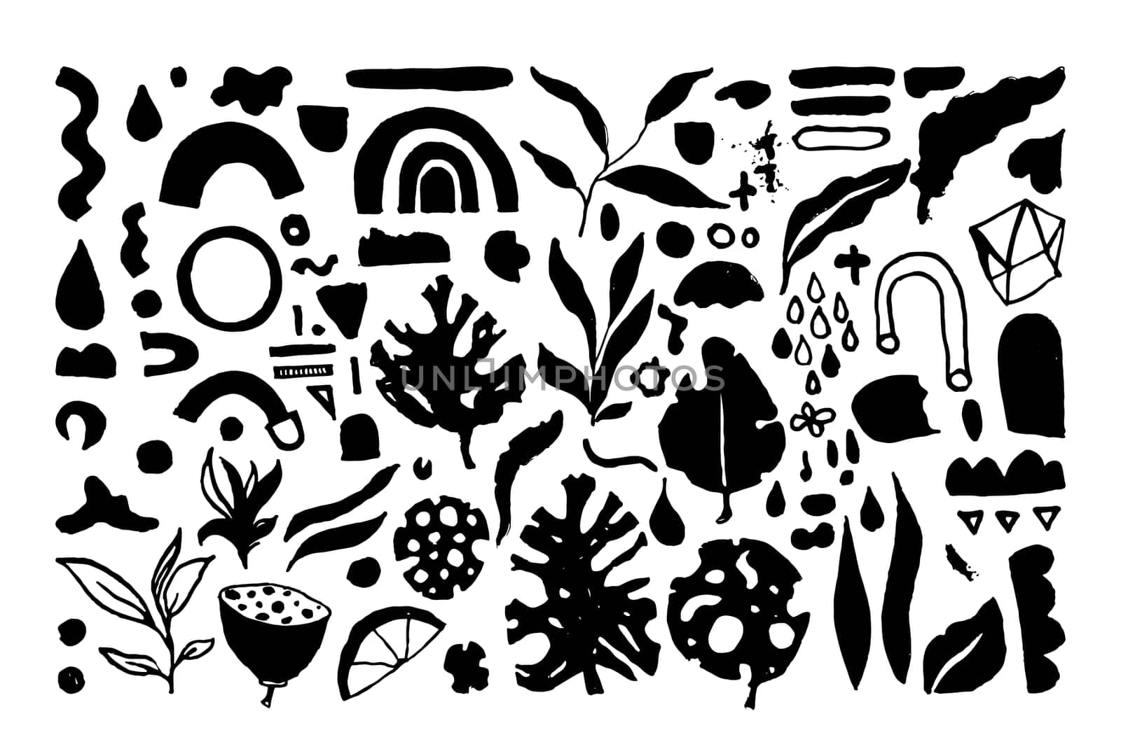 Set of creative universal floral elements. Hand Drawn textures backdrop. Posters, wedding card, eco design, organic products