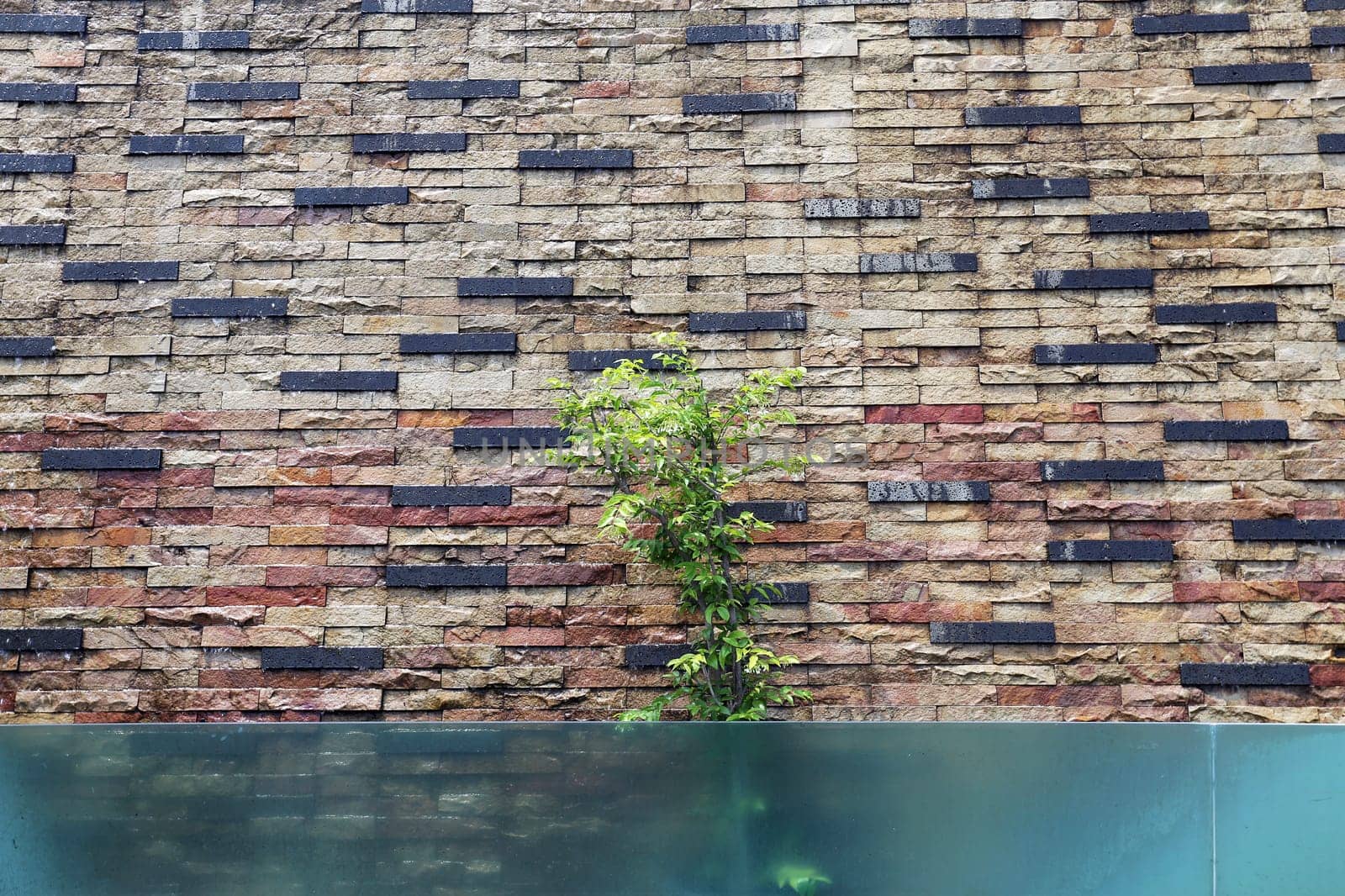 Beautiful wall is covered with multi-colored tiles