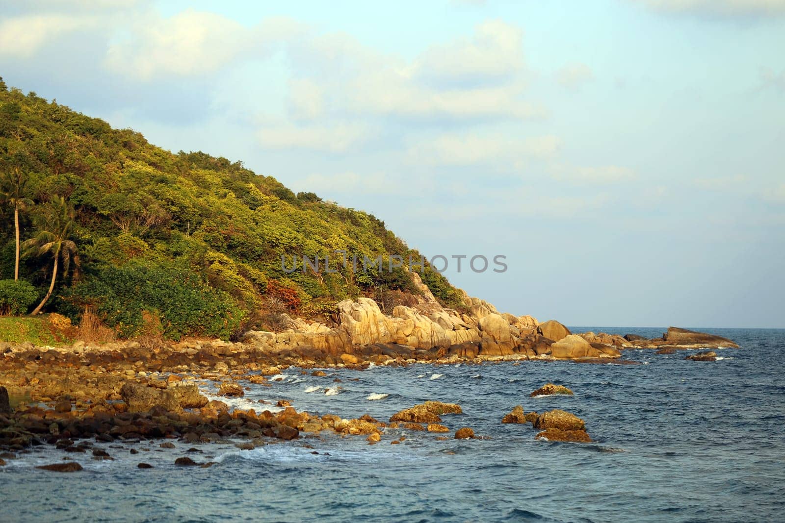 View of the sea from the shore