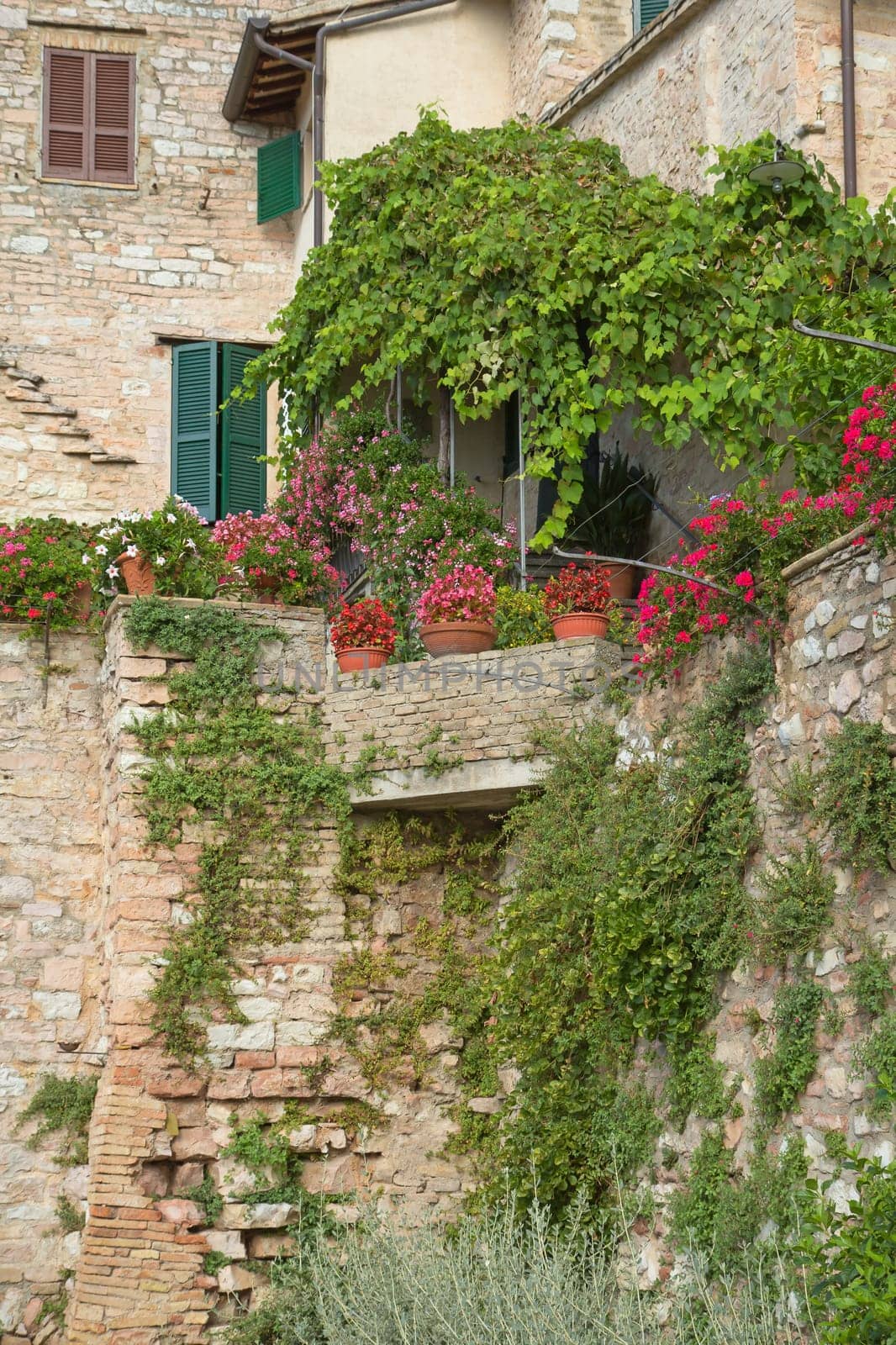 Closeup of the old stone house overgrown with creepers and decorated with potted plants