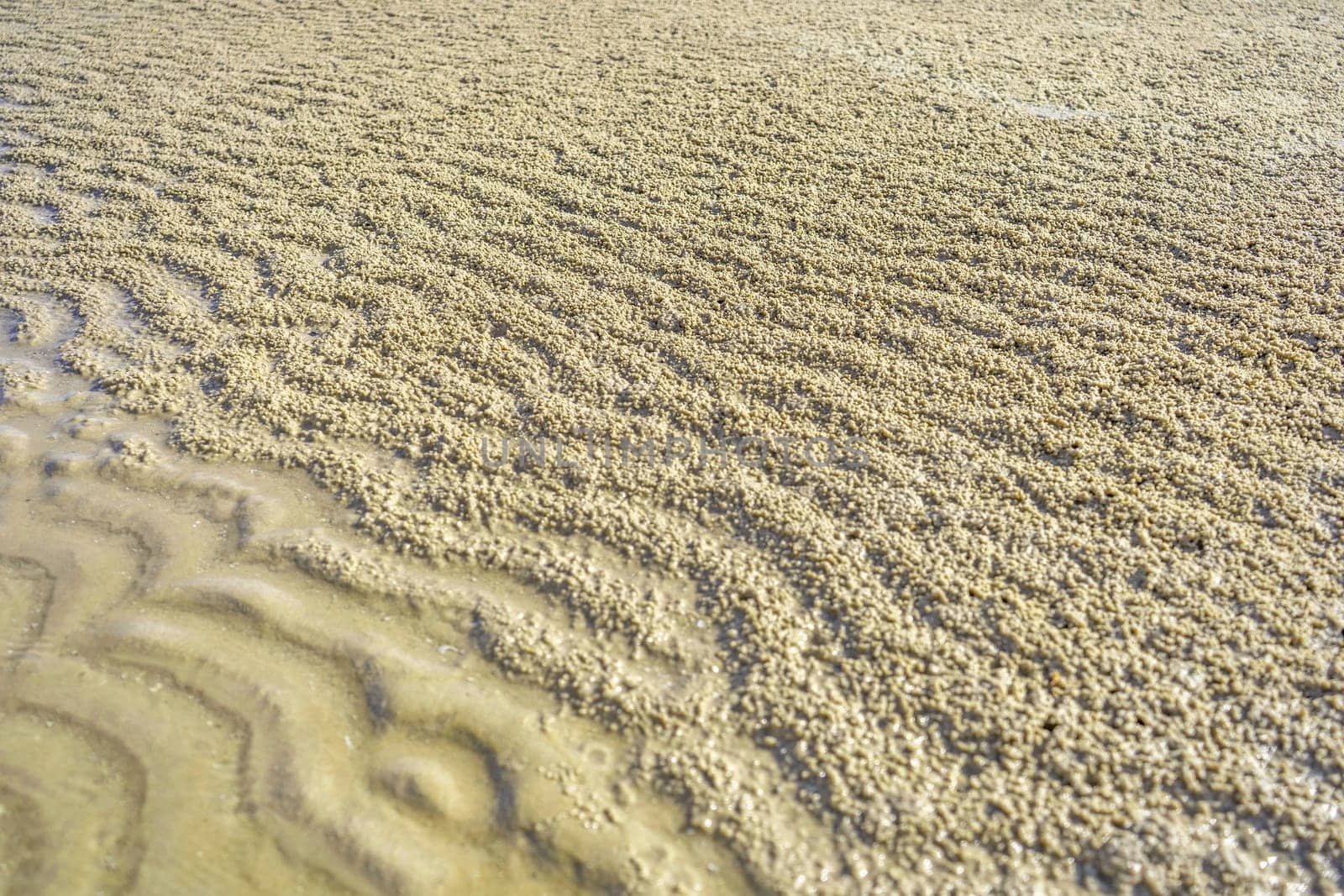 Sandy ocean beach for background texture abstract