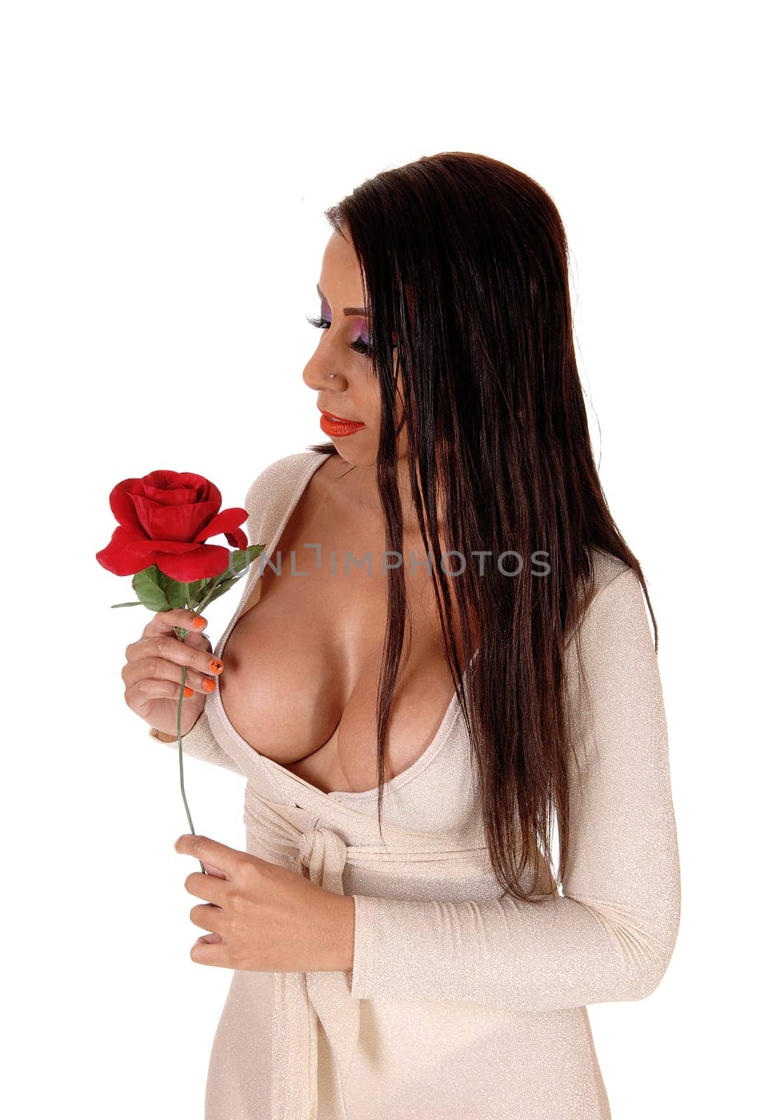 A close up image of a young woman in a body suit standing with a red .rose and big breasts and long hair, isolated for white background.