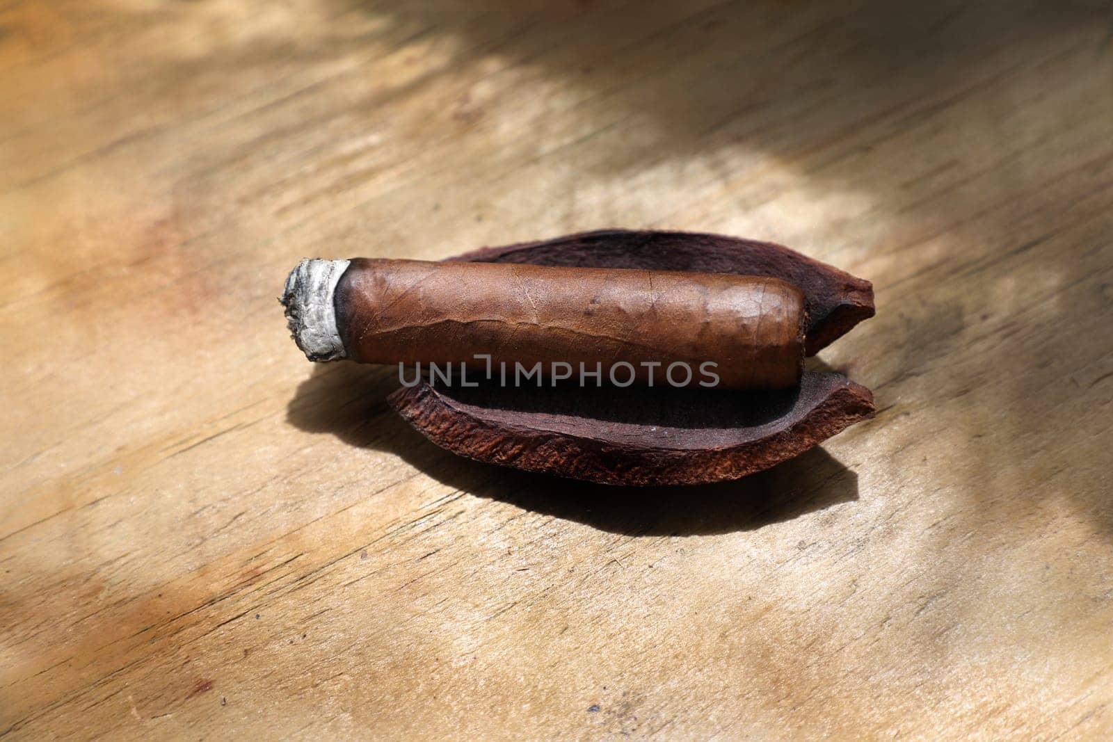Close up cigar on wooden table