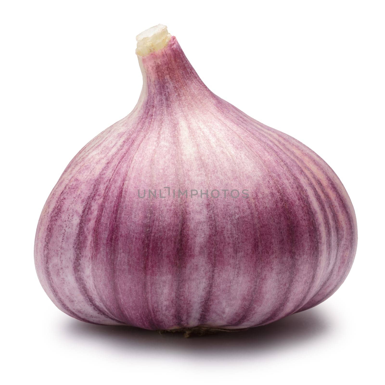 Garlic (Allium sativum) clove, whole, with husk. Clipping paths, shadows separated, infinite depth of field. Design elements