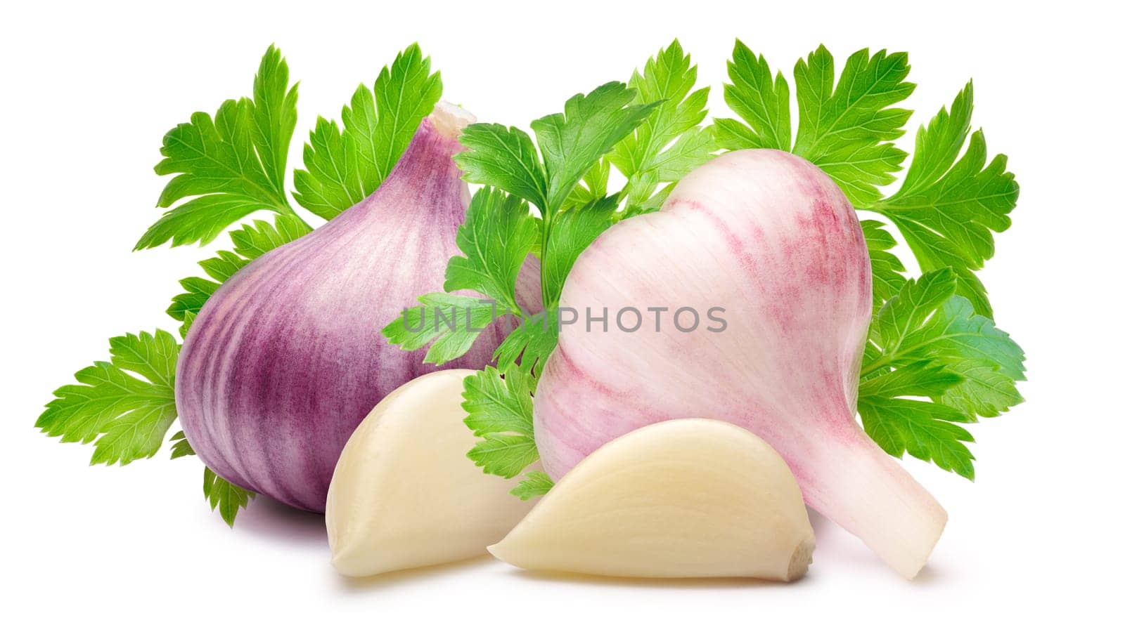 Whole garlic bulbs with flat-leaved  parsley. Clipping path, shadow separated.