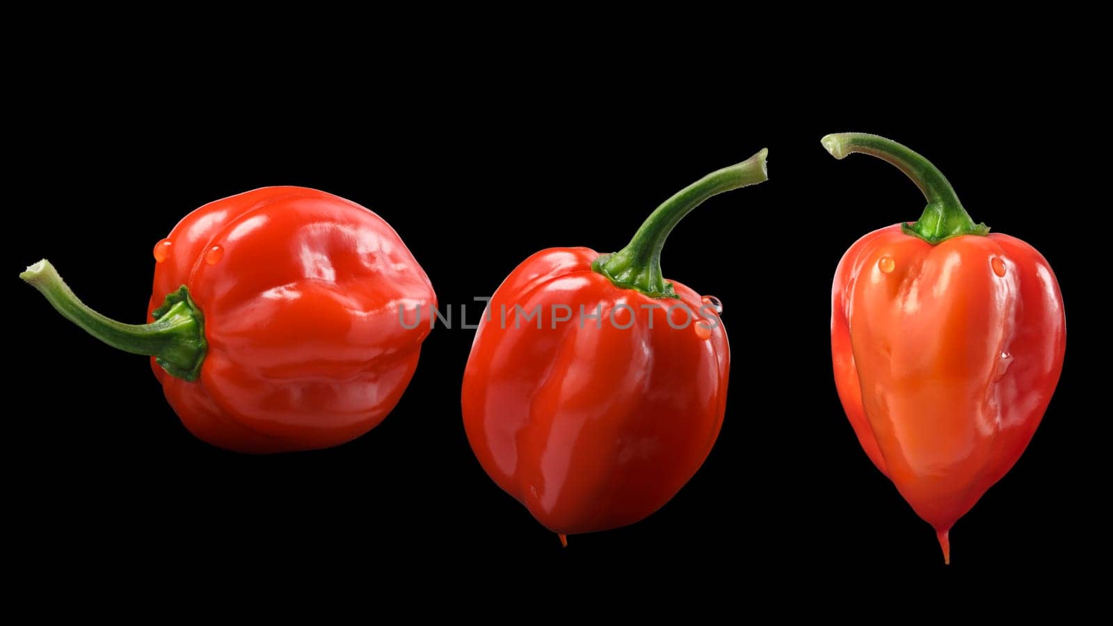 Set of orange Habanero peppers (Capsicum chinense), fresh, ripe. Clipping paths