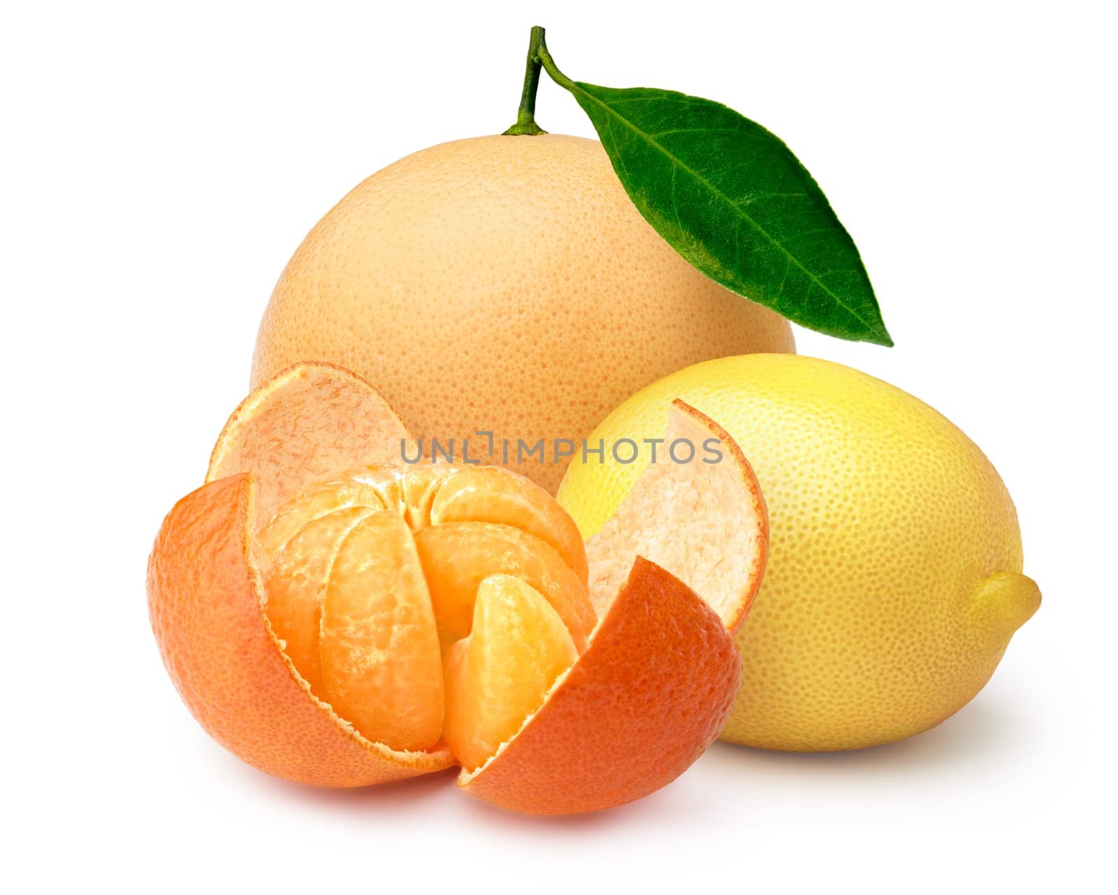 Pink grapefruit with leaf, peeled tangerine and whole lemon. Citrus fruits. Clipping paths, infinite DOF
