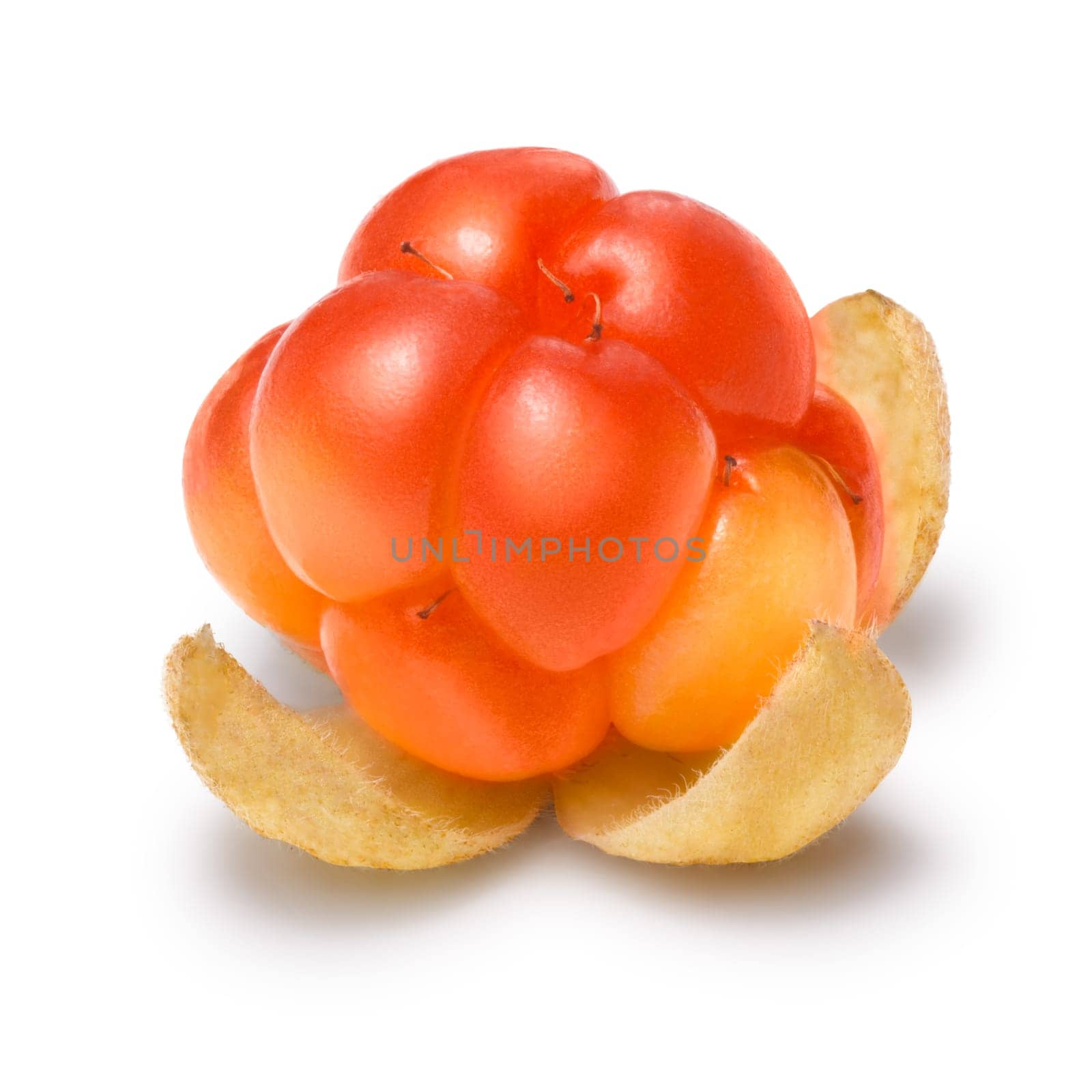 Single cloudberry (Rubus Chamaemorus). Clipping paths, berry and shadow separated, infinite depth of field
