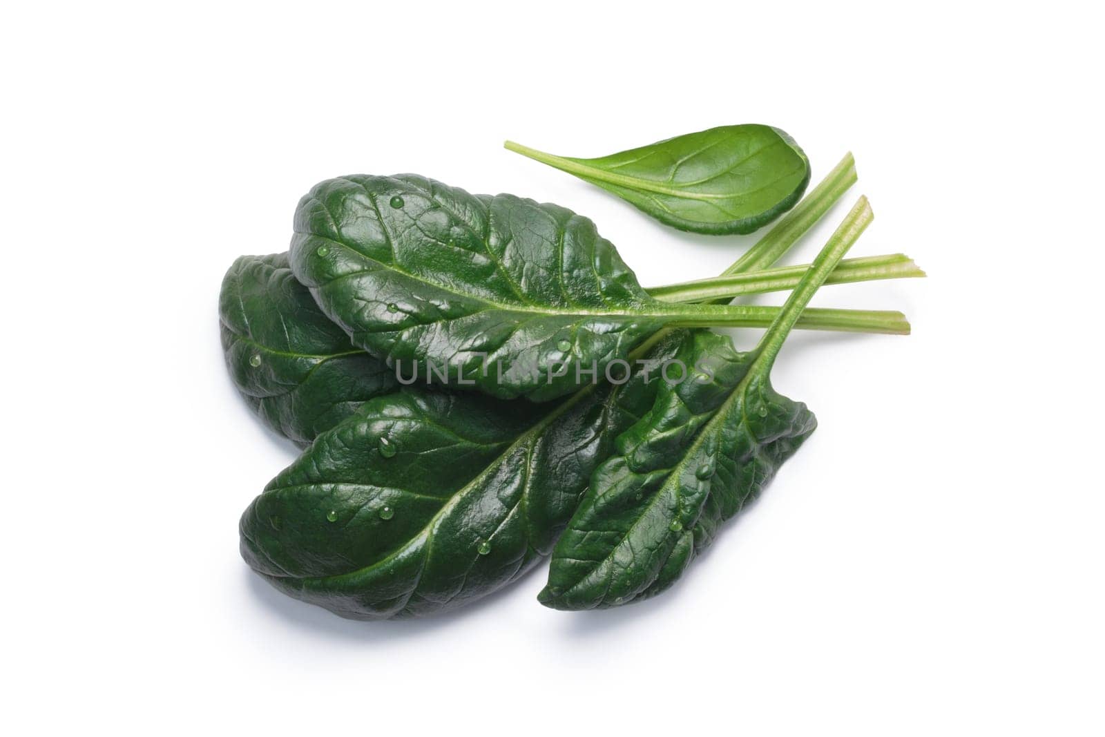 Fresh spinach (Spinacia oleracea) leaves, top view. Clipping paths, shadow separated, natural daylight color