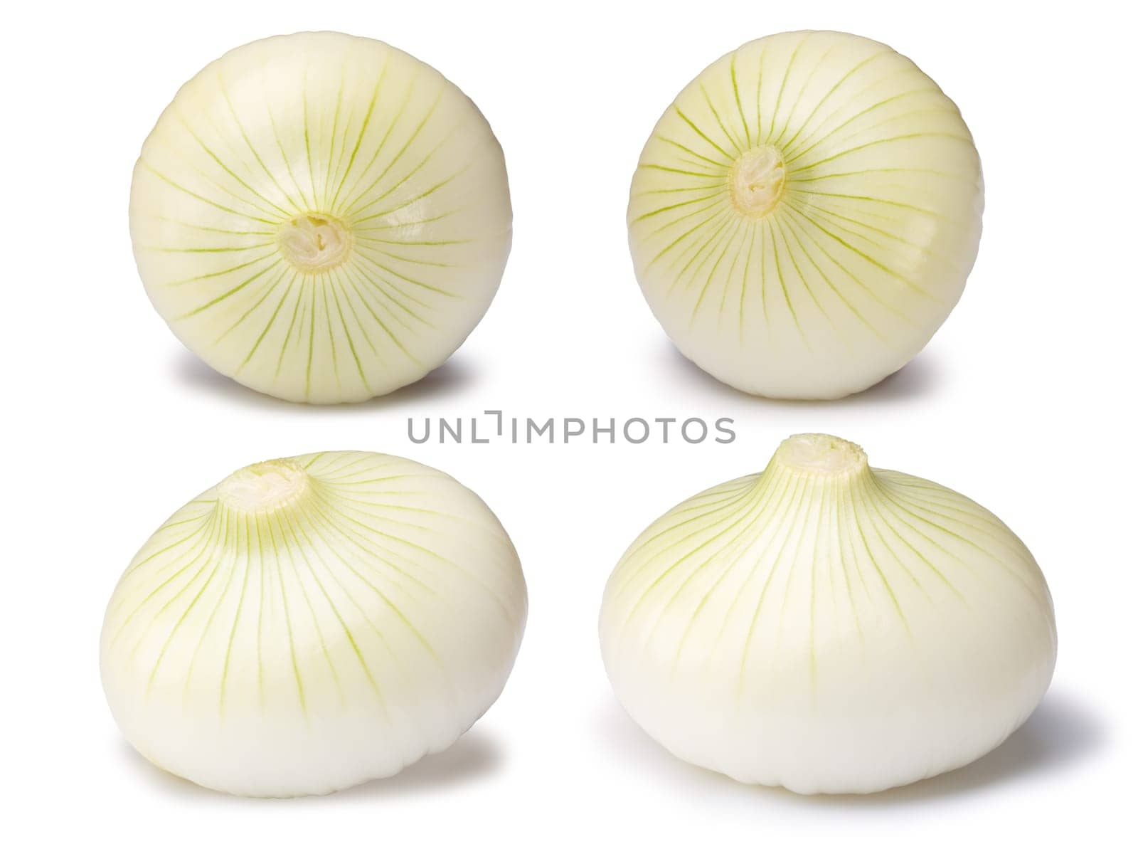 Set of white onion bulbs (Allium cepa), peeled, whole. Clipping paths, shadows separated. Design elements