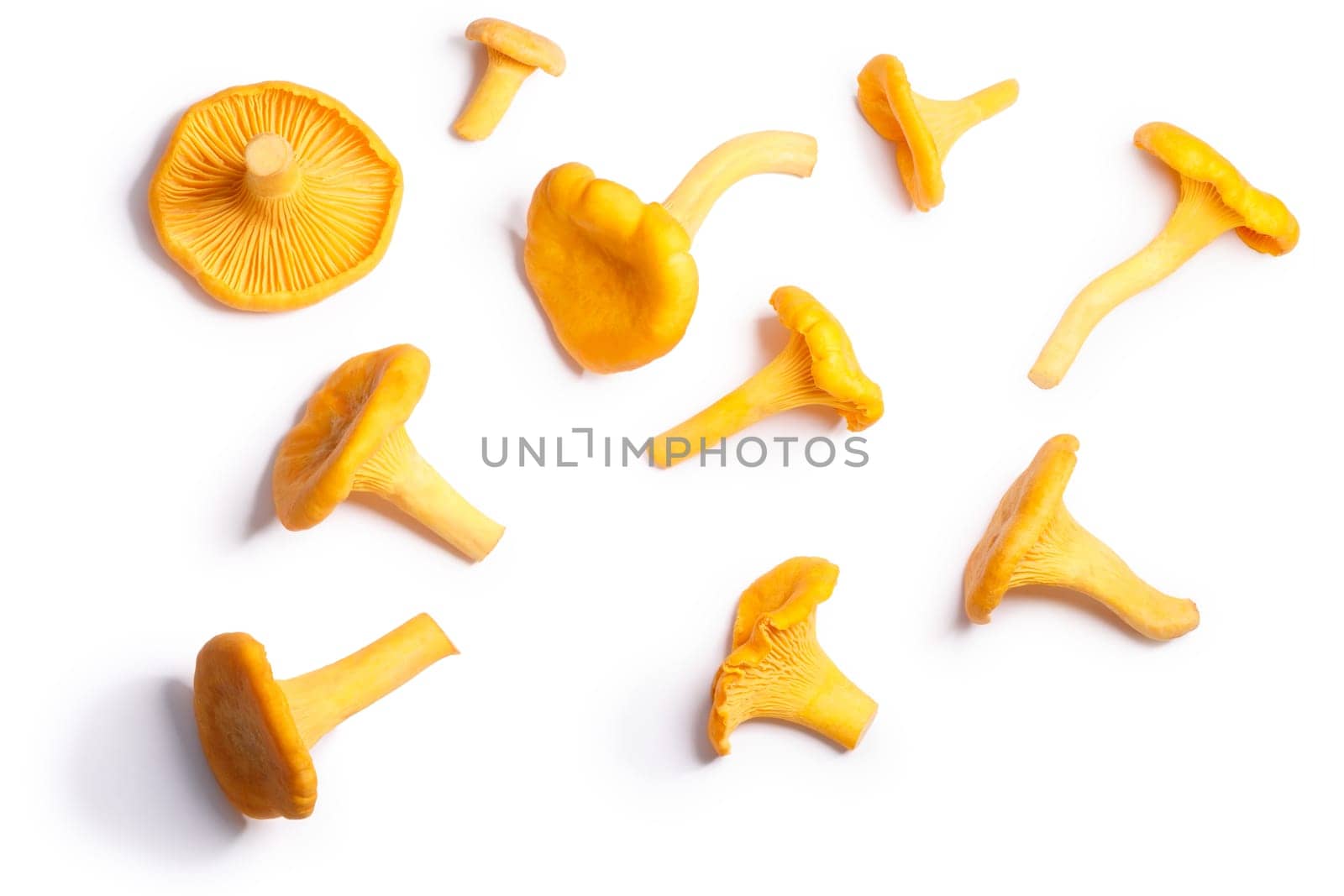 Chanterelles or girolles mushrooms (Cantharellus cibarius), top view. Clipping paths, shadow separated