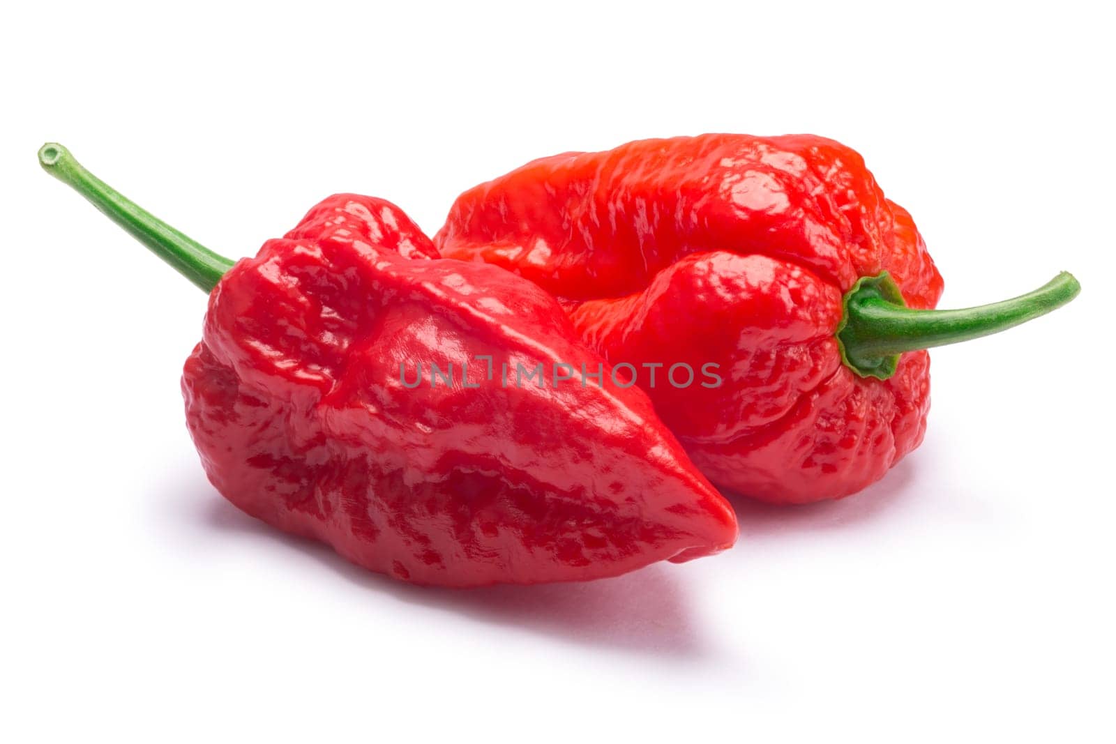 Bhut Jolokia ghost chili peppers (Capsicum frutescens x Capsicum chinense hybrid). Clipping paths, shadow separated