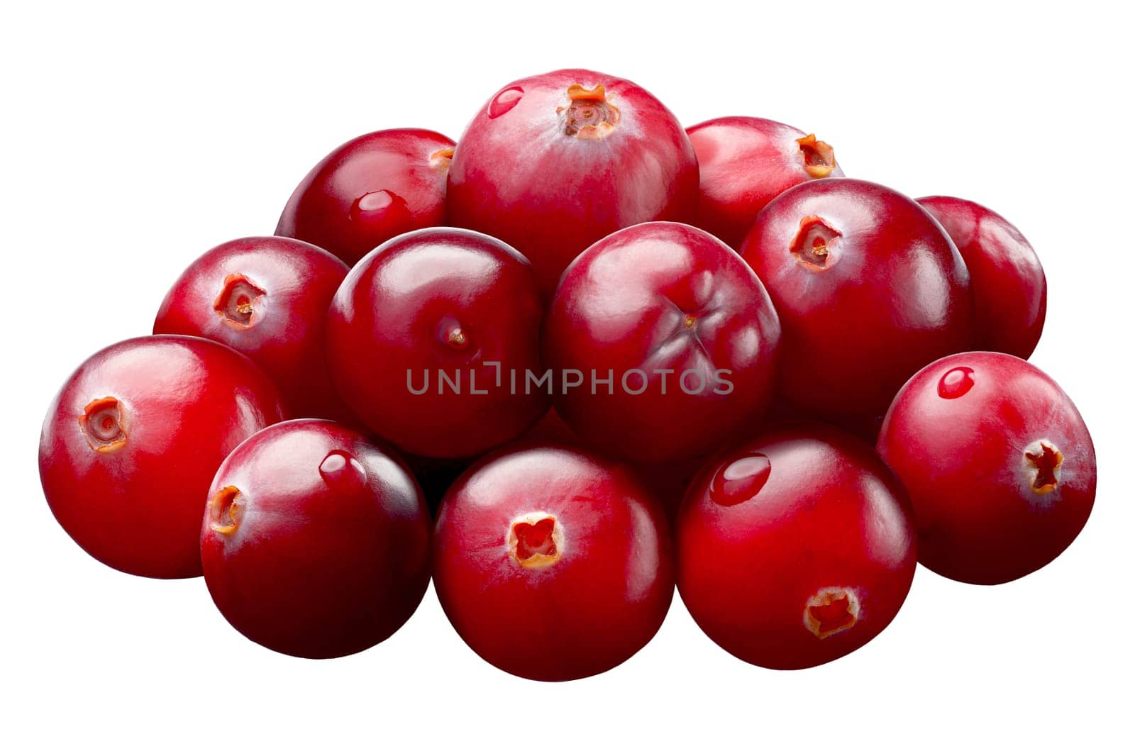 Pile of cranberries (fruit of Vaccinium oxycoccus), ripe, round. Clipping path, shadowless, reflections free