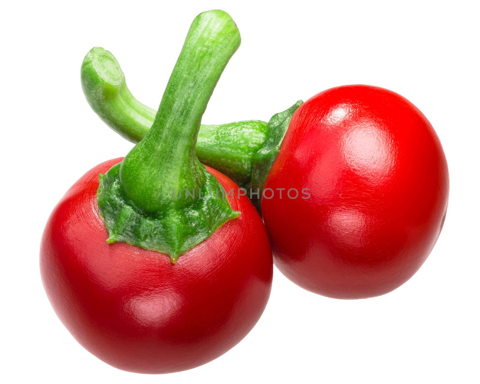 Koral Hungarian Cherry Peppers (Cseresznye Paprika), Capsicum annuum var. cerasiforme
