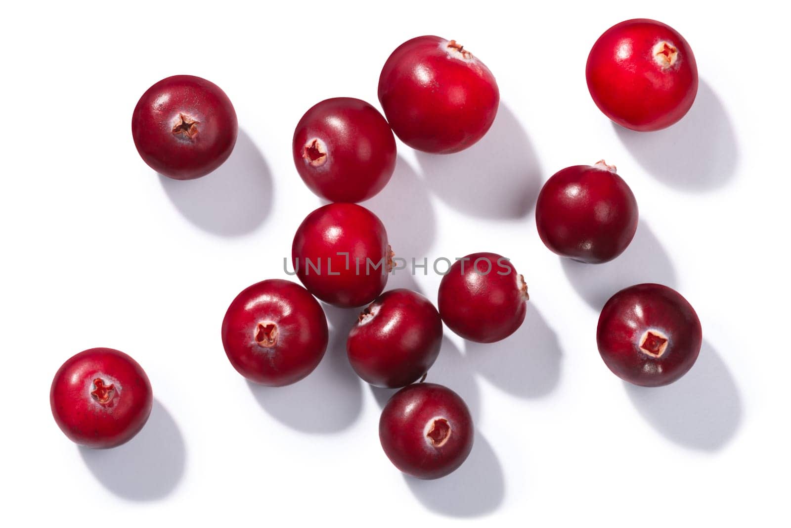 Cranberries (Vaccinium oxycoccus), top view. Direct hard light