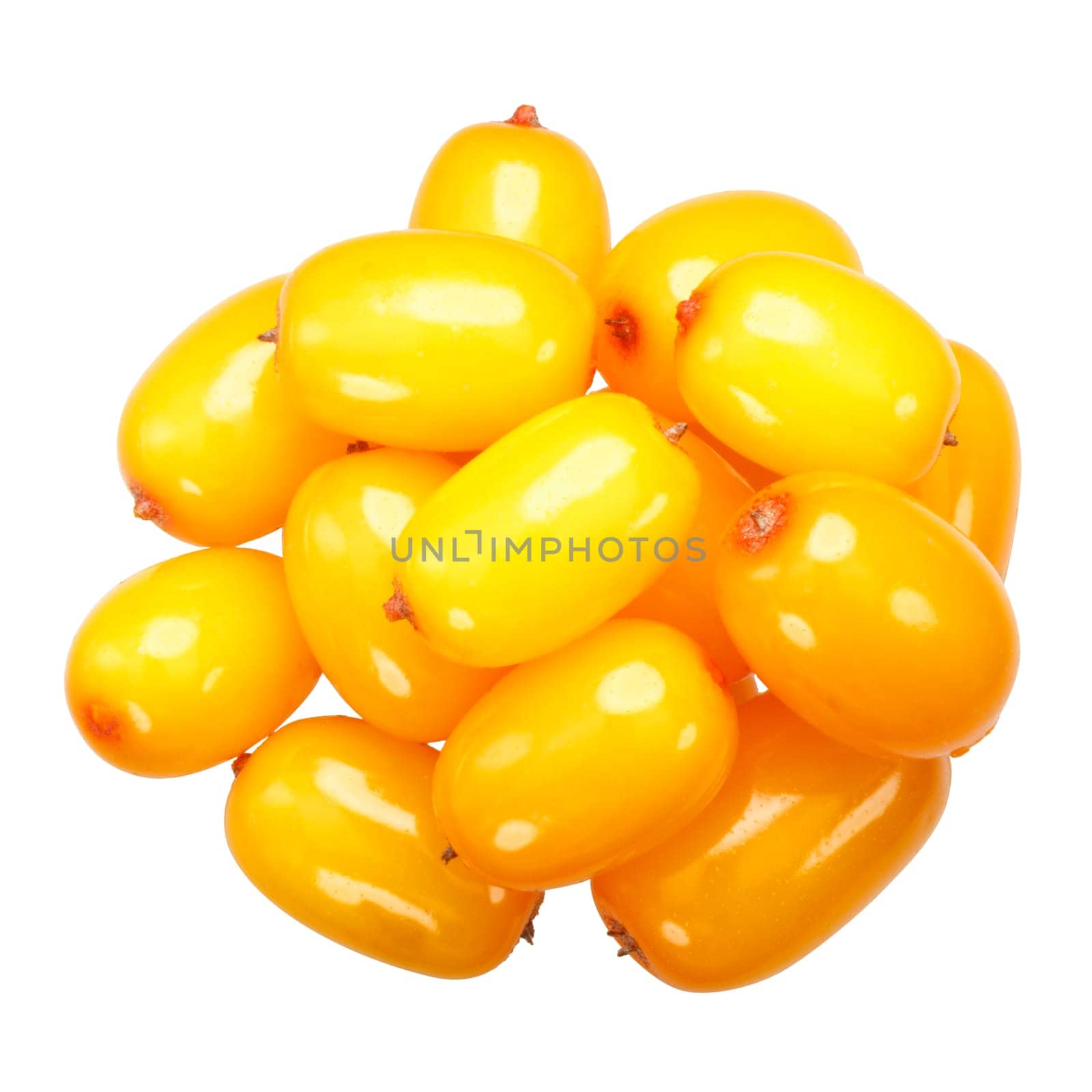 Pile of sea buckthorn berries (Hippophae rhamnoides fruits), top view