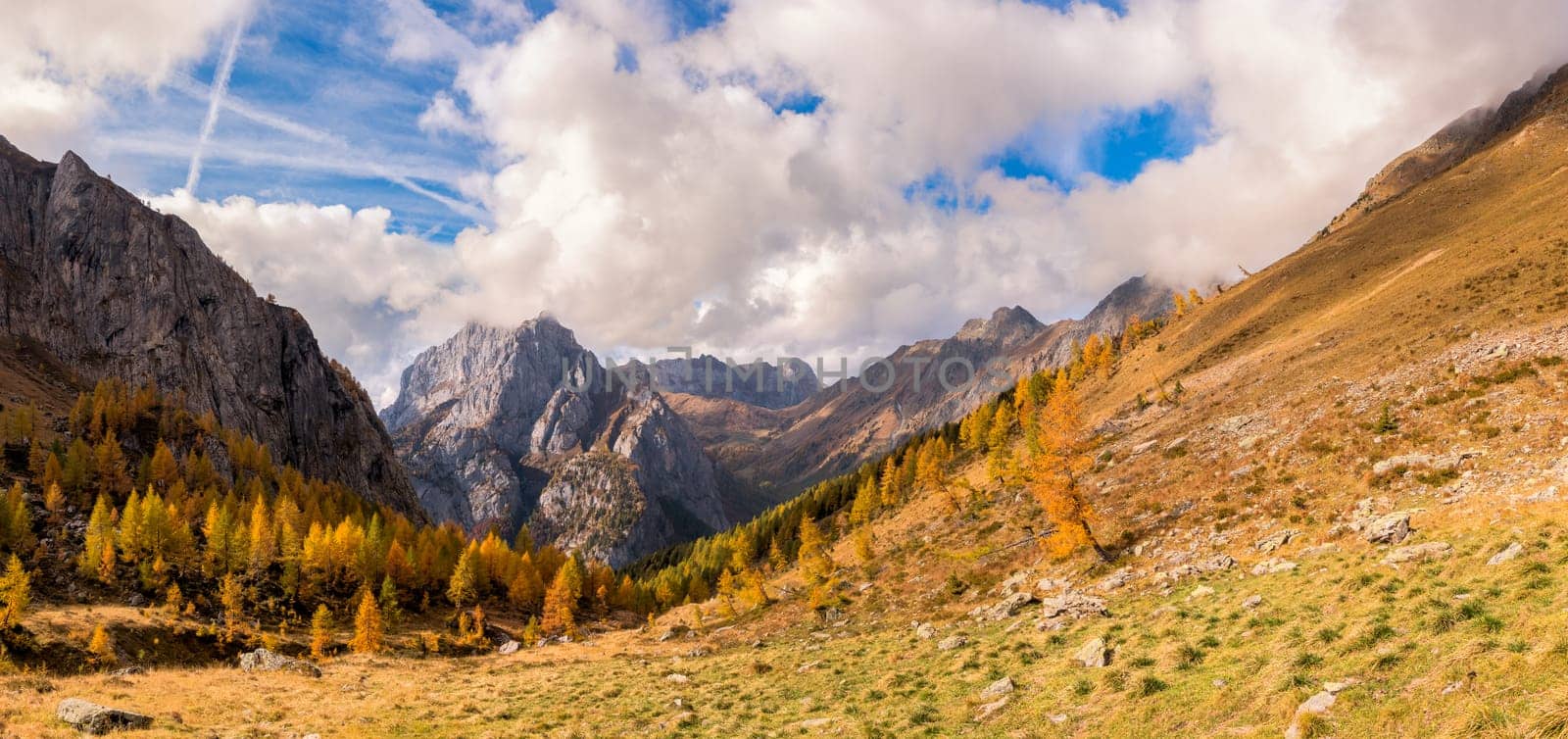 The mountain autumn landscape with colorful forest
