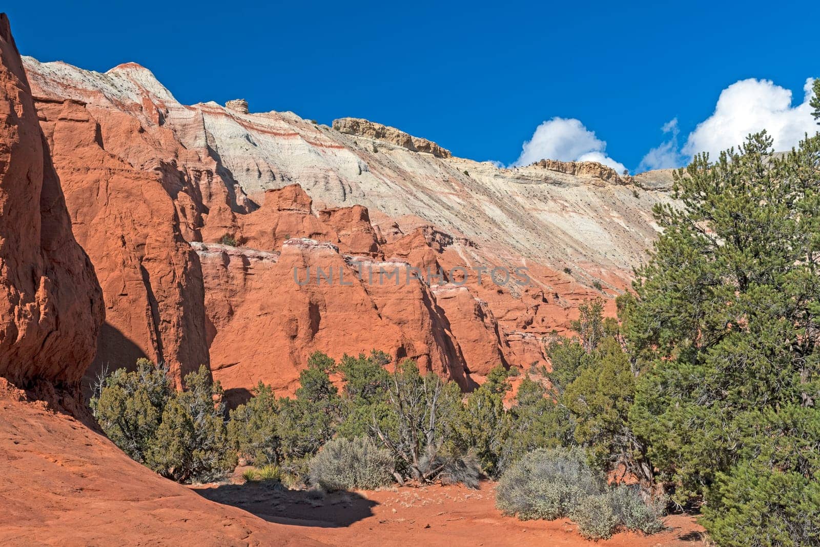 Deep in a Colorful Canyon in Kodachrome Basin State Park in Utah