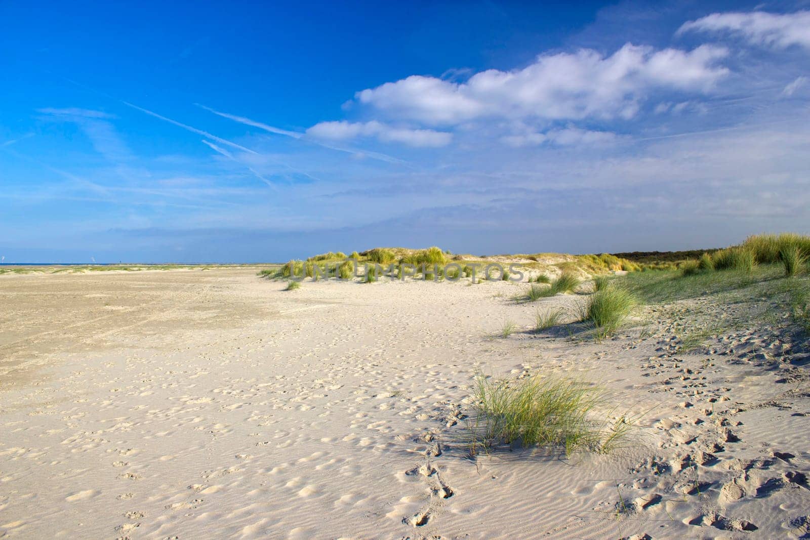 the dunes, Renesse, Zeeland, the Netherlands