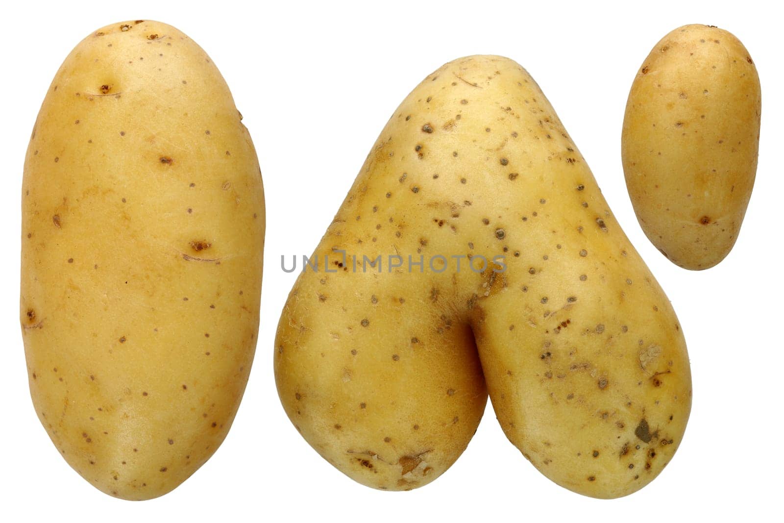 detail of the various potatoes - macro