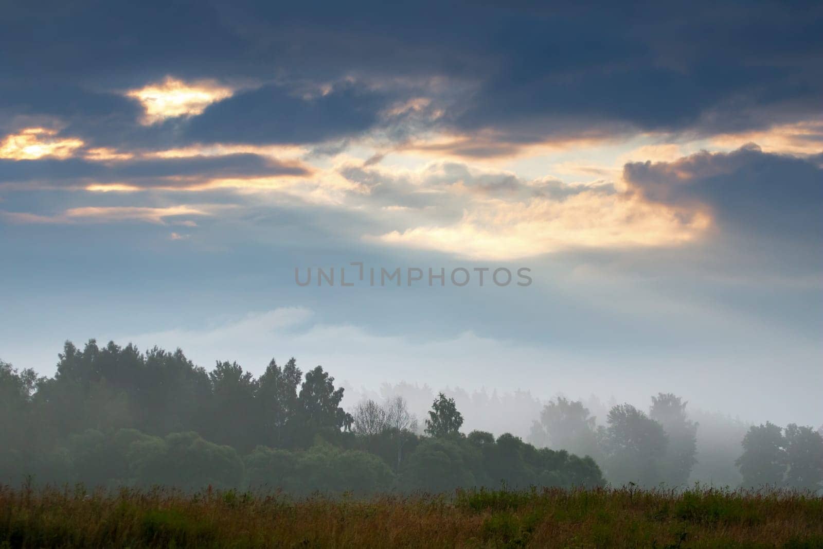 Beautiful landscape with mist. Summer beautiful idyllic landscape in Latvia. Meadow, wood and sky with mist. Rural landscape with mist on the coast of river Memele, Latvia.