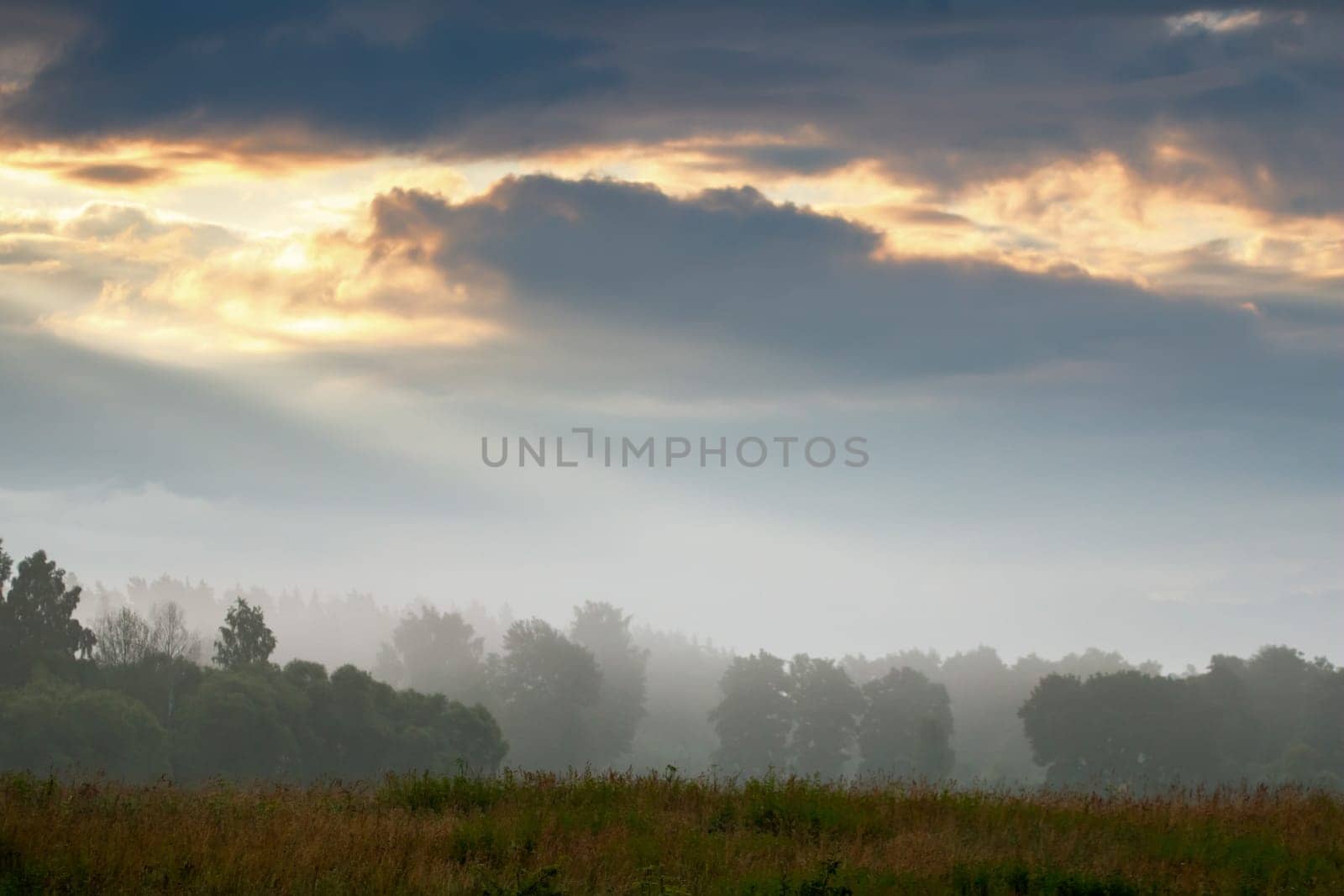 Beautiful landscape with mist. Summer beautiful idyllic landscape in Latvia. Meadow, wood and sky with mist. Rural landscape with mist on the coast of river Memele, Latvia.