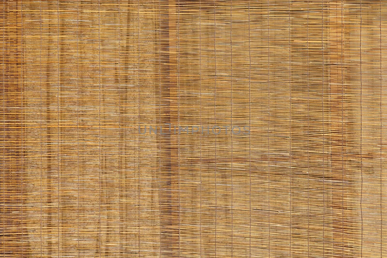 Bamboo curtain for use as nature background