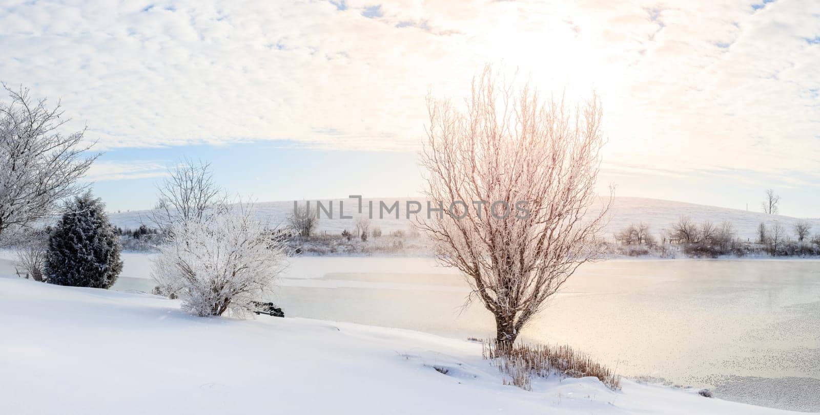 Beautiful winter morning on a small lake near Georgetown, Kentucky