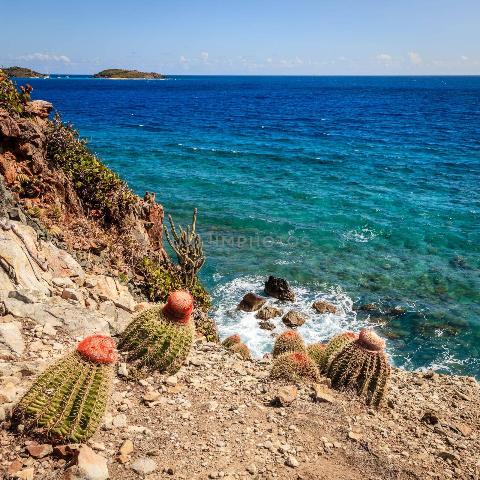 Seaside view from a small island in BVI with cacti in the foreground