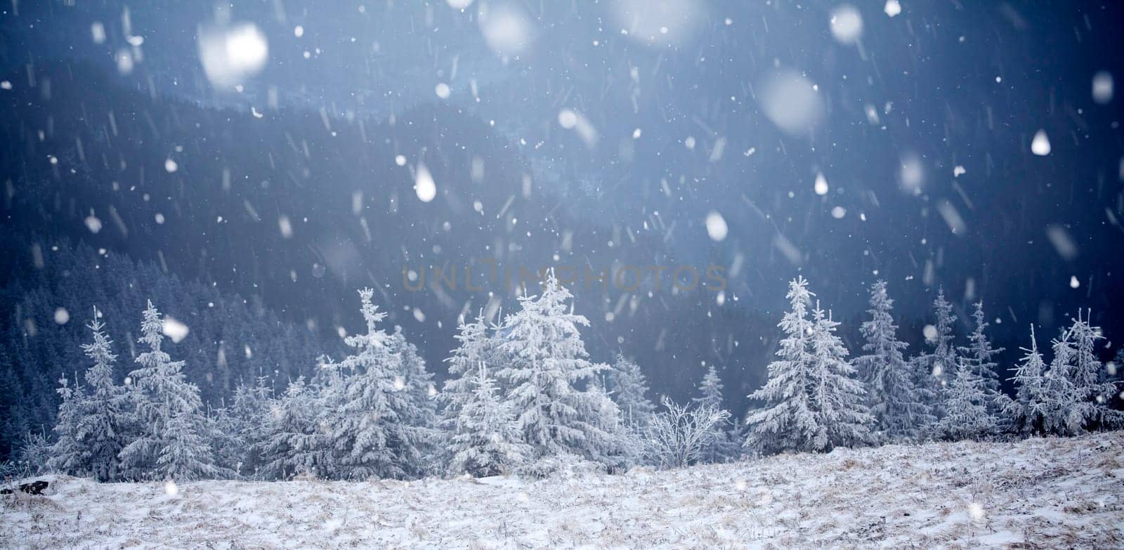 Christmas and New Year background with winter trees in mountains covered with fresh snow - Magic holiday background