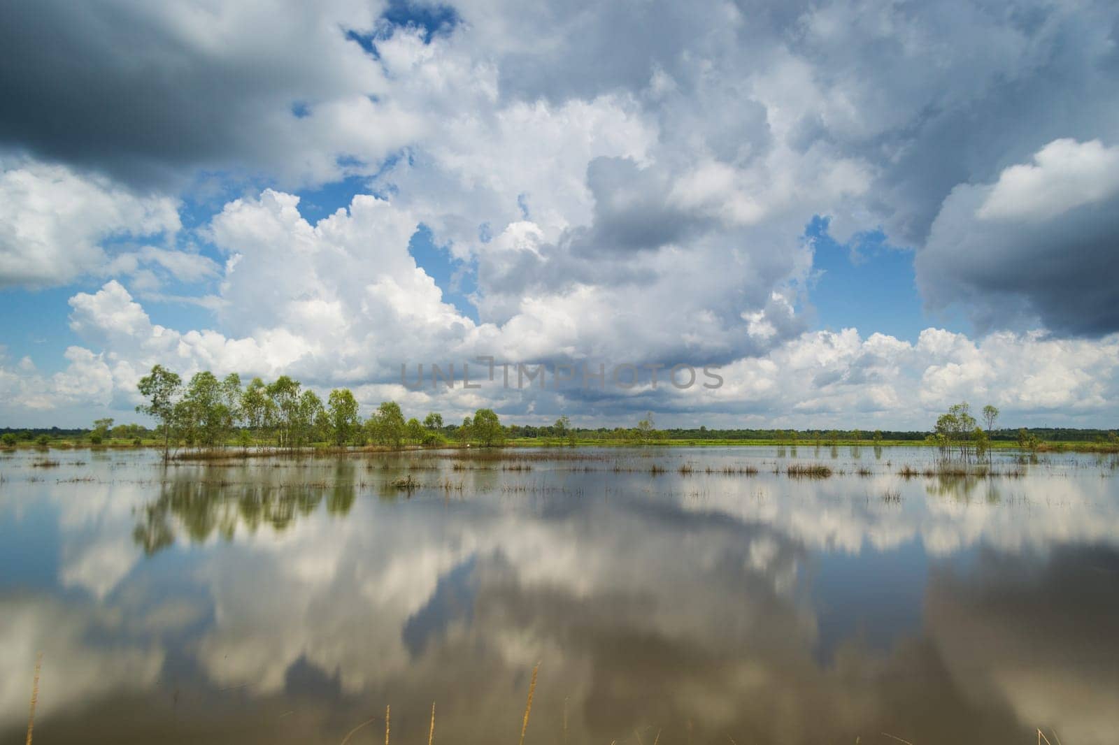 standing water reflect the sky with cumulus clouds