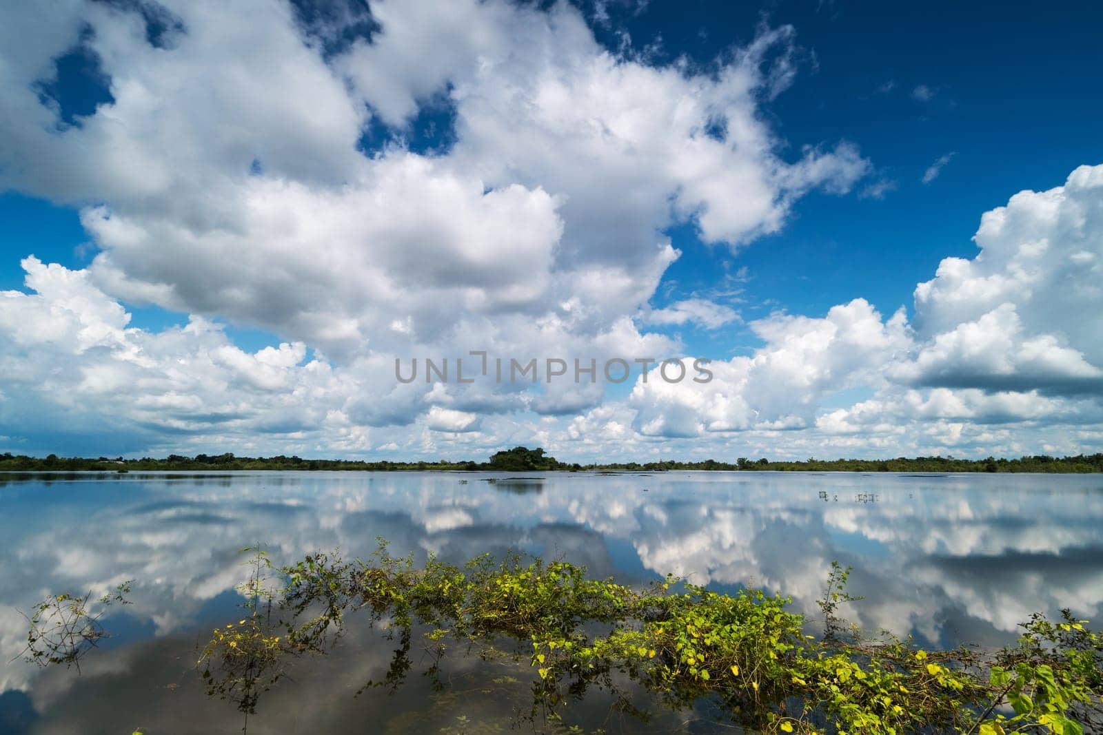 standing water reflect the sky with cumulus clouds