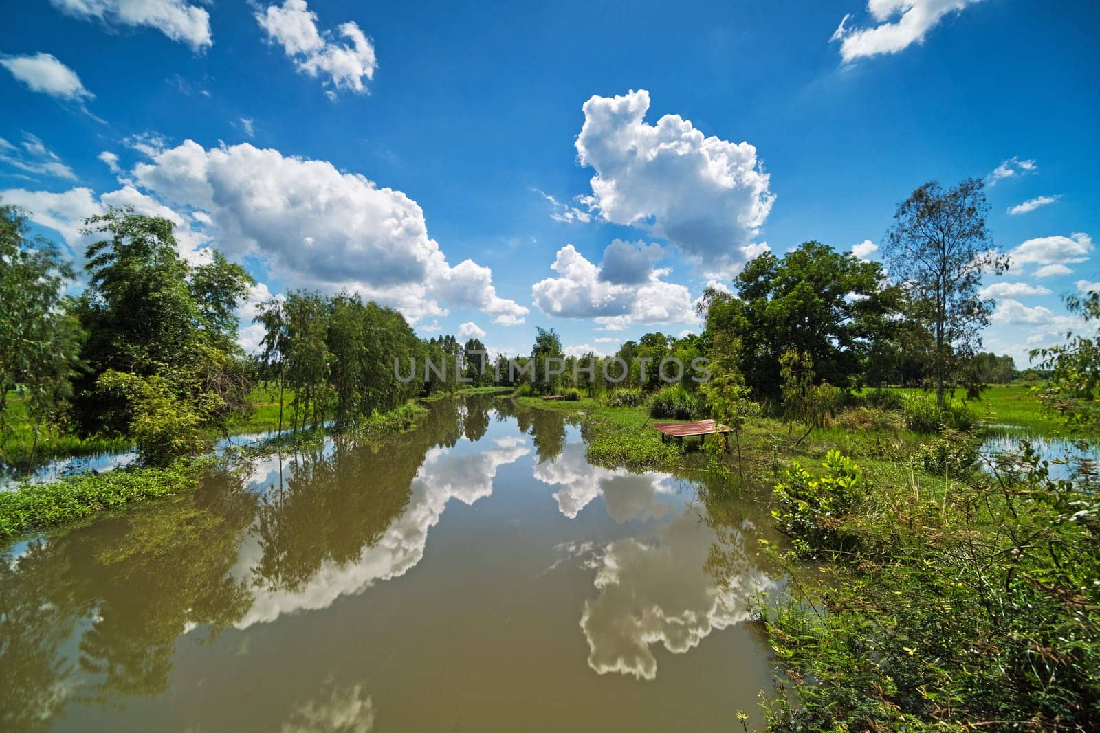 standing water reflect the sky with cumulus clouds