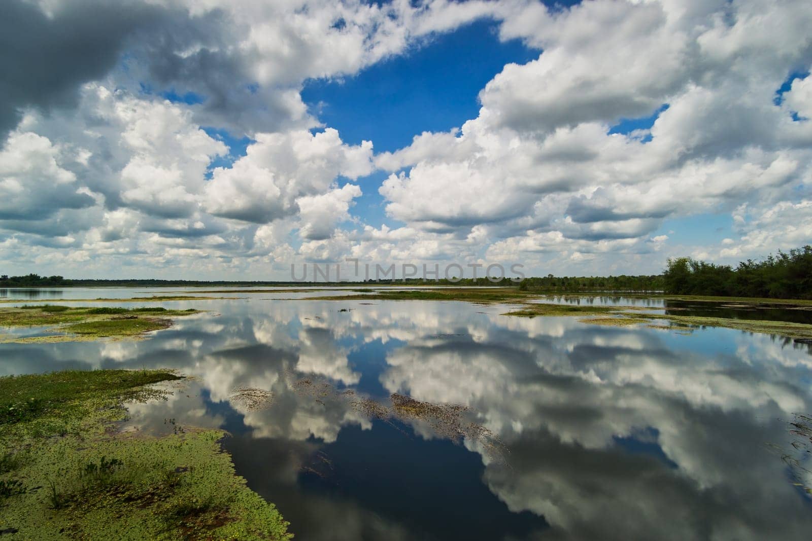 standing water reflect the sky with cumulus clouds