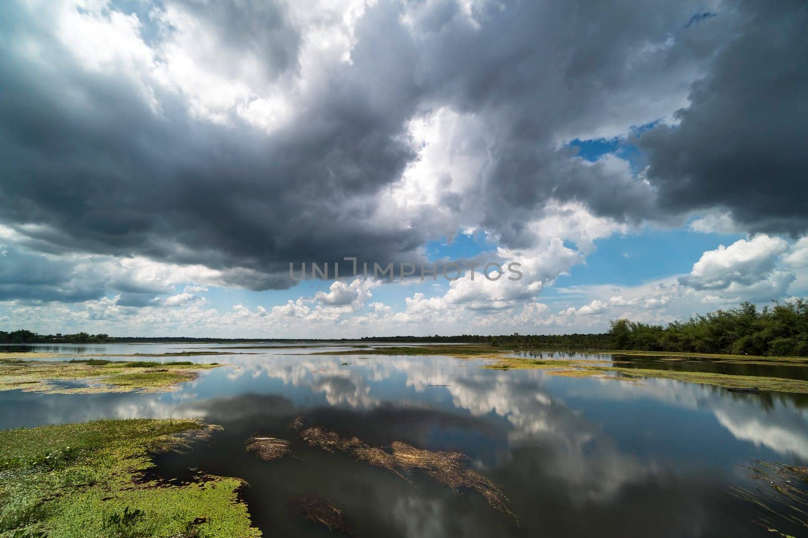 standing water reflect the sky with cumulus clouds