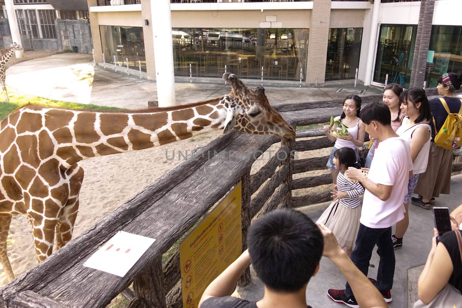 Chiang Mai, Thailand - November 24, 2018:  CHIANG MAI NIGHT SAFARI: zoo with many wildlife animals in natural habitat, One of the main attractions of northern Thailand