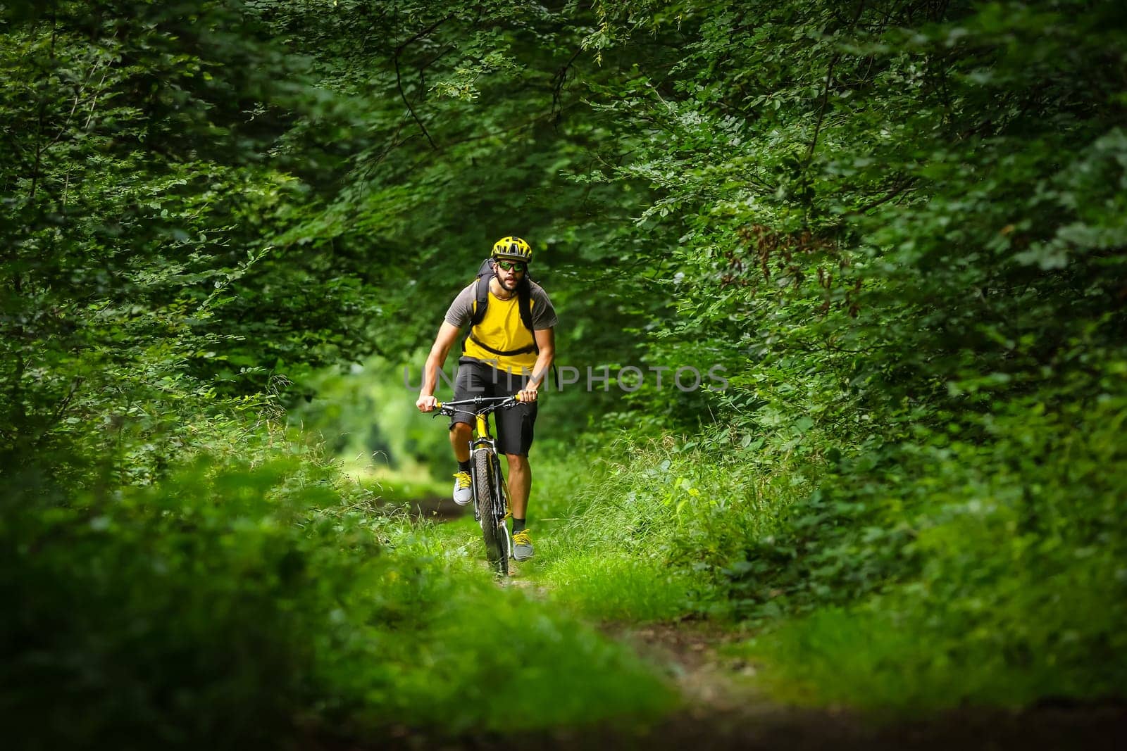 mountain biker on yellow bike in the woods